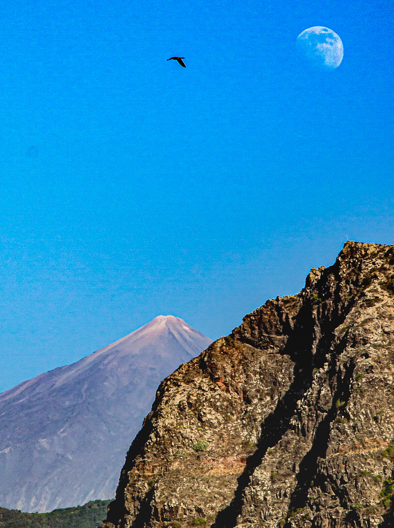 Mount Teide, Tenerife, 17 Aug 2013