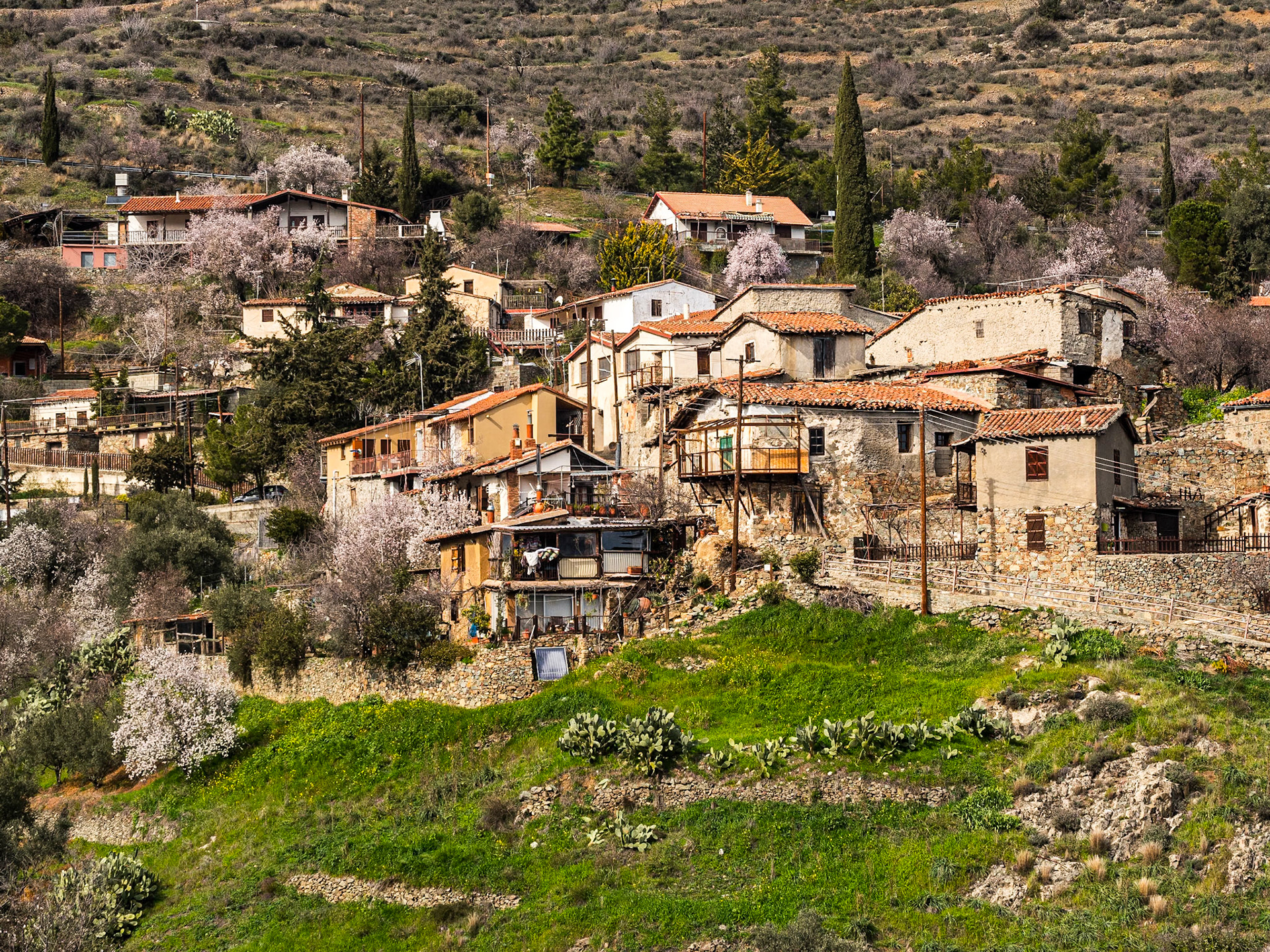 Lazanias, Cyprus, 14 Feb 2025