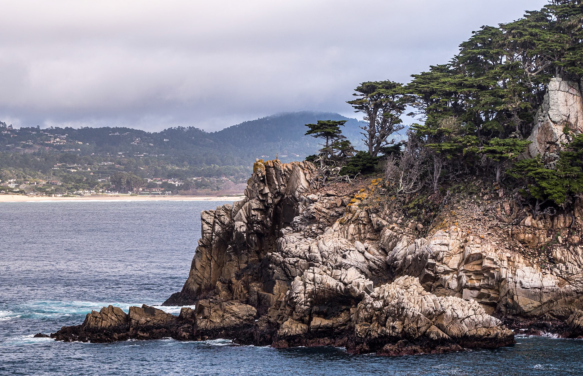 Point Lobos State Natural Reserve, California, 22 Jan 2024