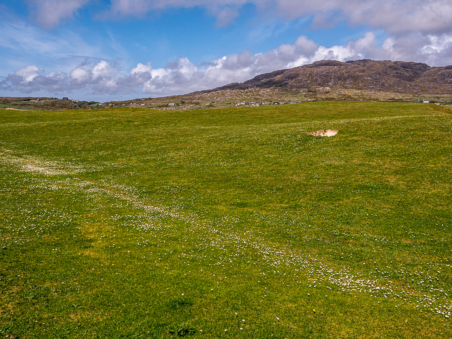 Dog's Bay peninsula, near Roundstone, Co Galway, 9 May 2023