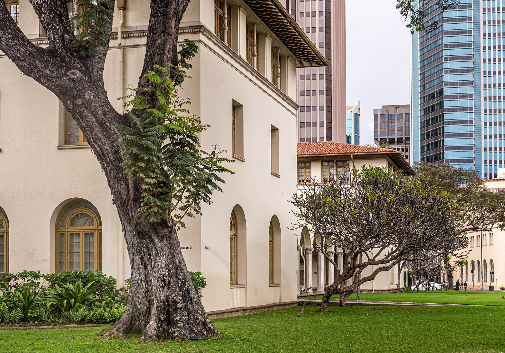 Mililani St, Honolulu, 30 Jan 2024