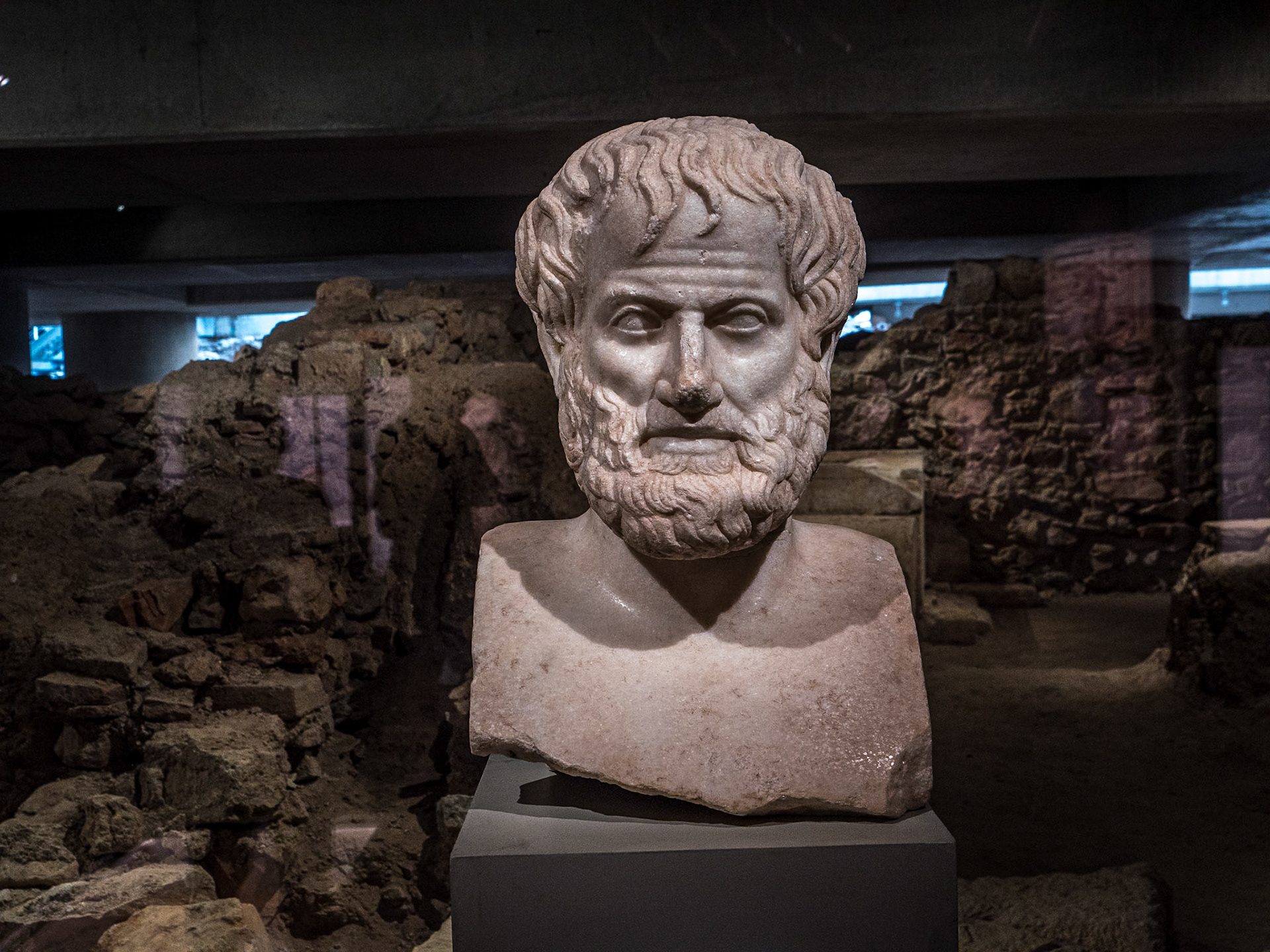 Bust of Aristotle, Acropolis Museum, Athens, 22 Sep 2024