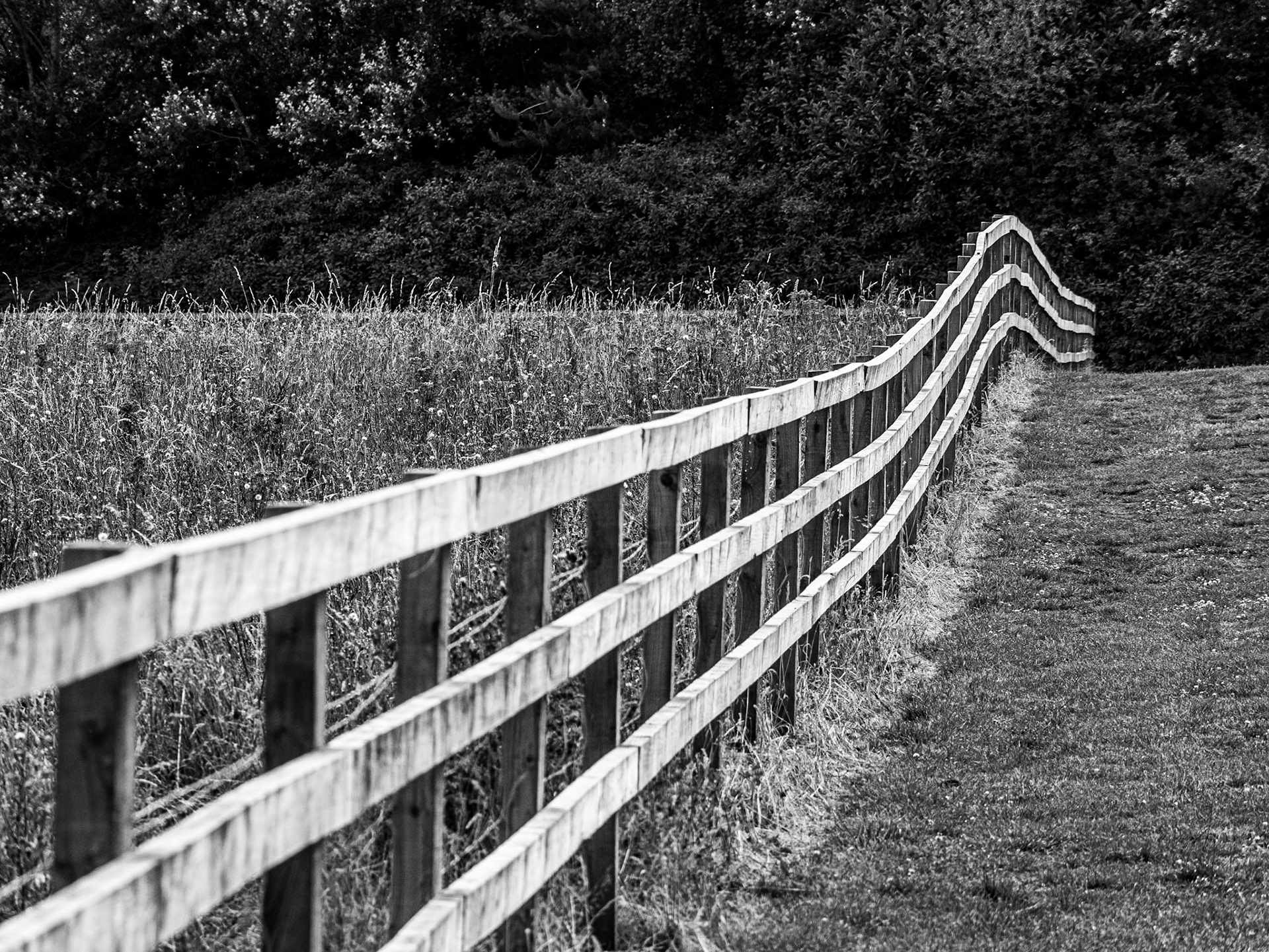 St Catherine's Park, Lucan, Dublin, 22 Jul 2015
