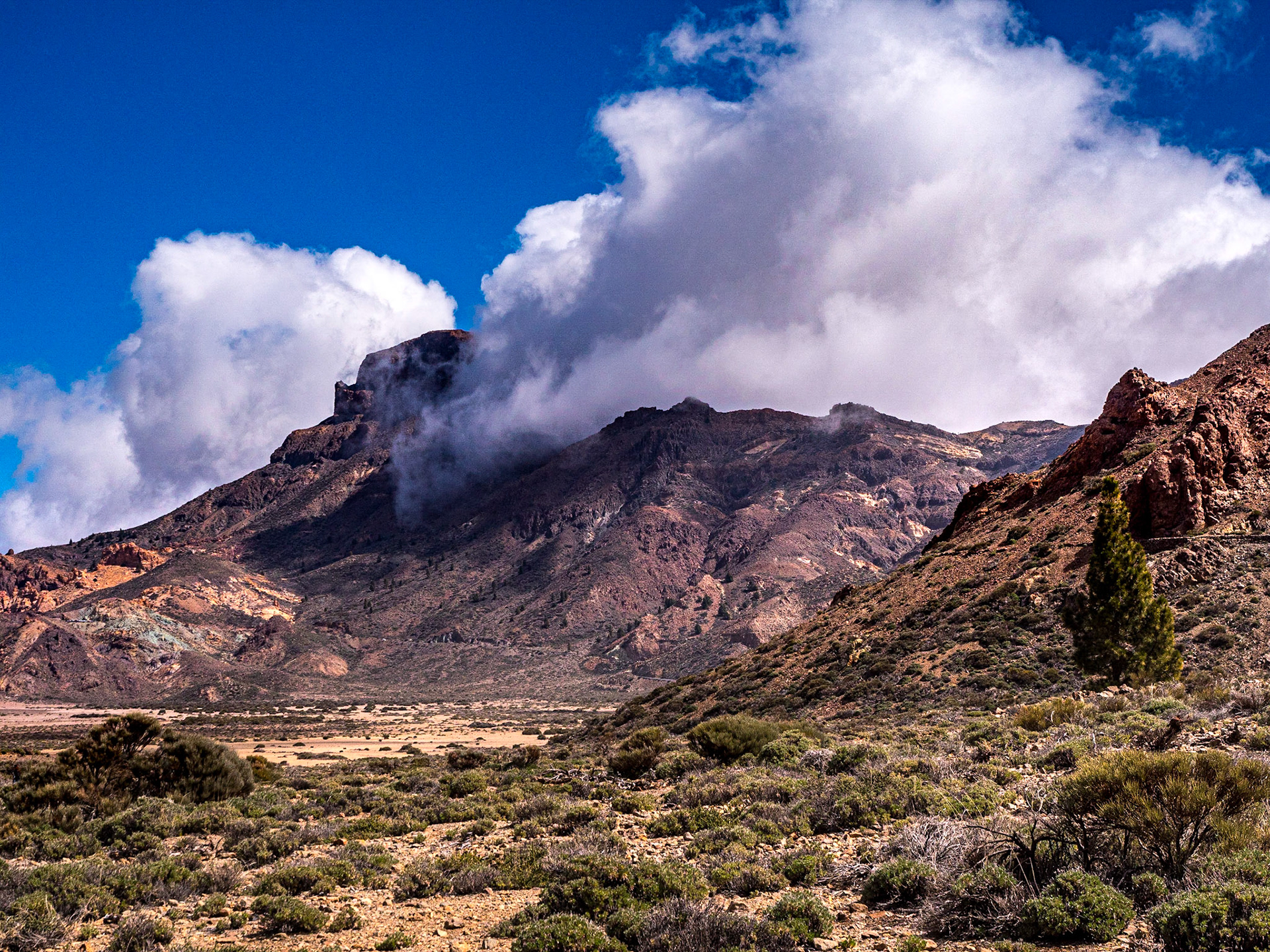By Zapata de la Reina, Tenerife, 20 Feb 2023