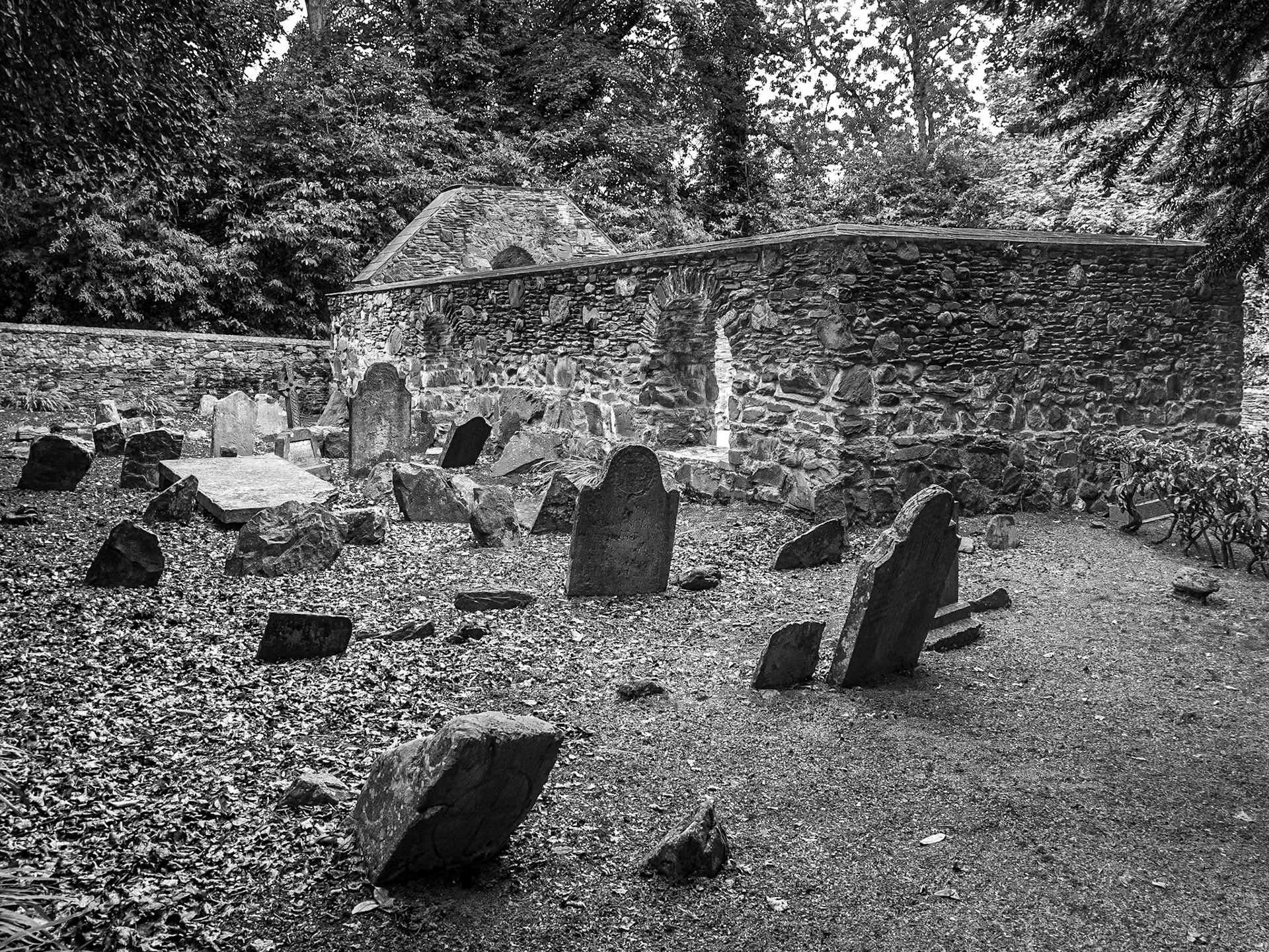 Richardstown Church and Graveyard, Co Louth, 9 Aug 2018