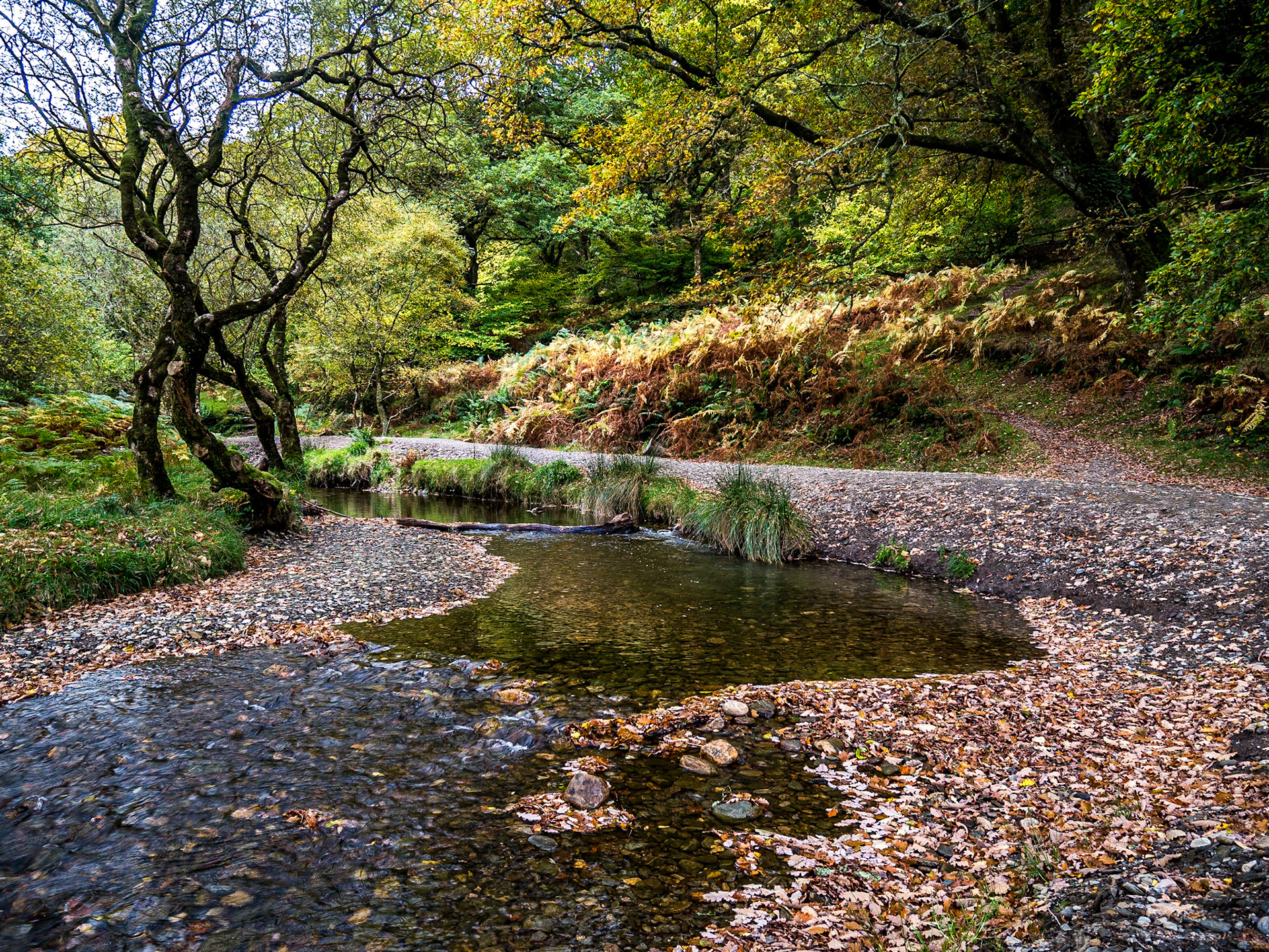 By Upper Lake, Glendalough, 28 Oct 2016