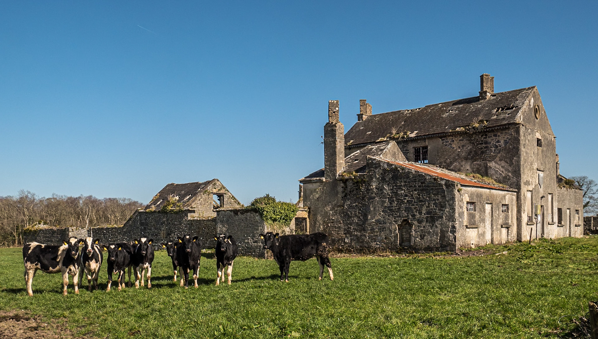 Kyle Park School ruin, Co Tipperary, 19 Mar 2022