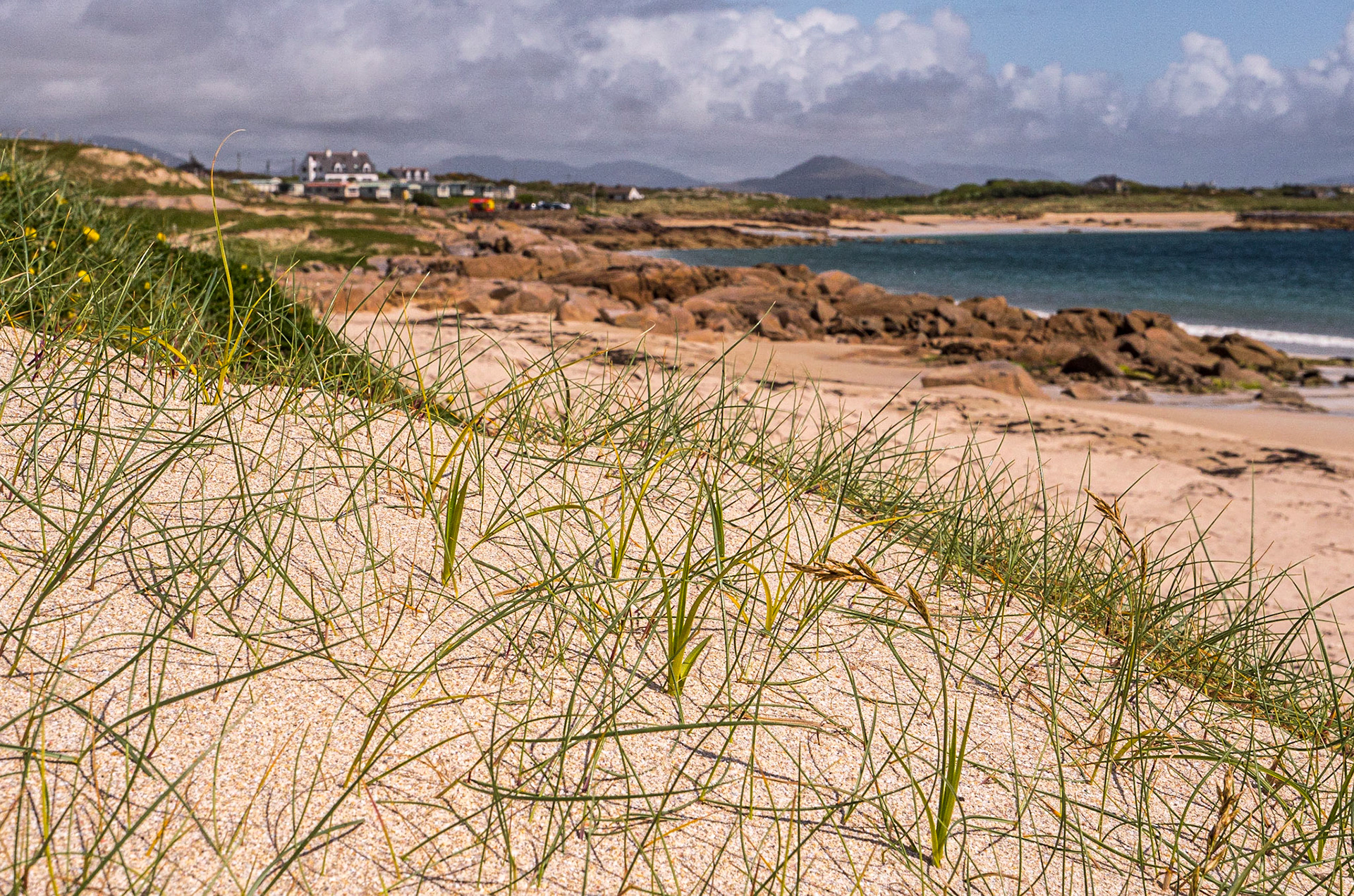 Gurteen Beach, near Roundstone, Co Galway, 9 May 2023