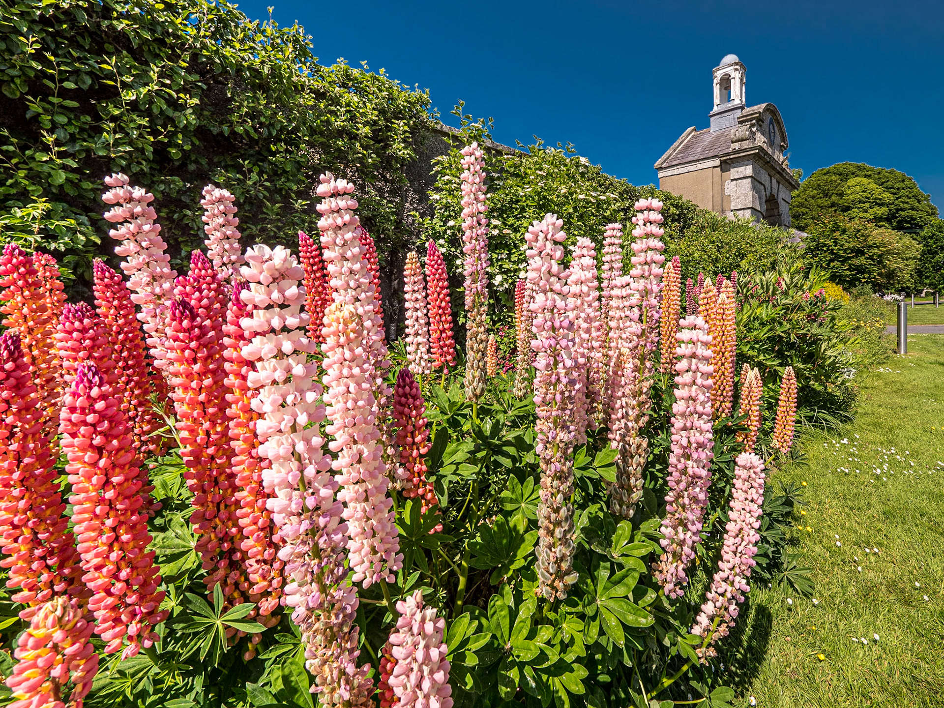 Grounds of Russborough House, Co Wicklow, 31 May 2023