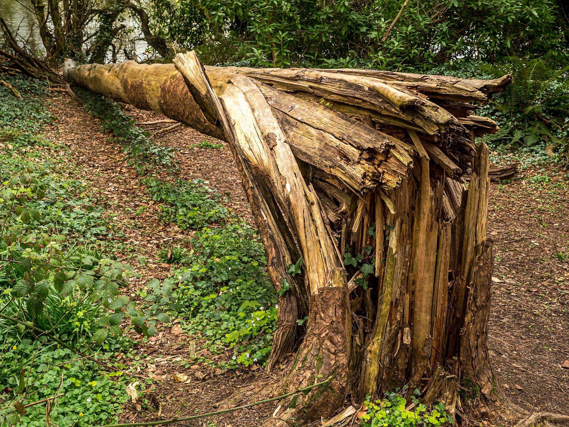 Johnstown Castle Estate, Co Wexford, 4 Apr 2022