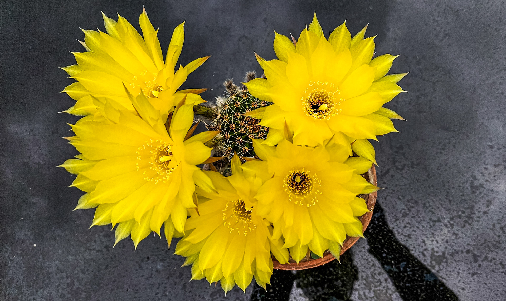 At home, 30 May 2022