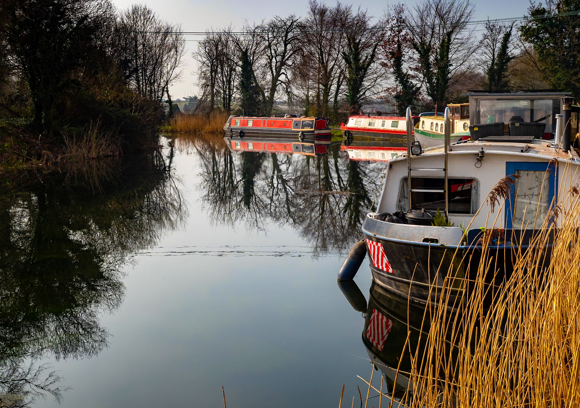 Along the Grand Canal near Sallins, Co Kildare, 2 Mar 2021