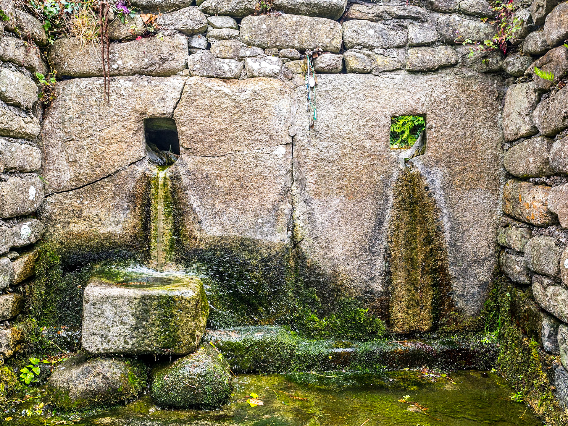 St Moling's Holy Well, St Mullin's, Co Carlow, 4 Jul 2017