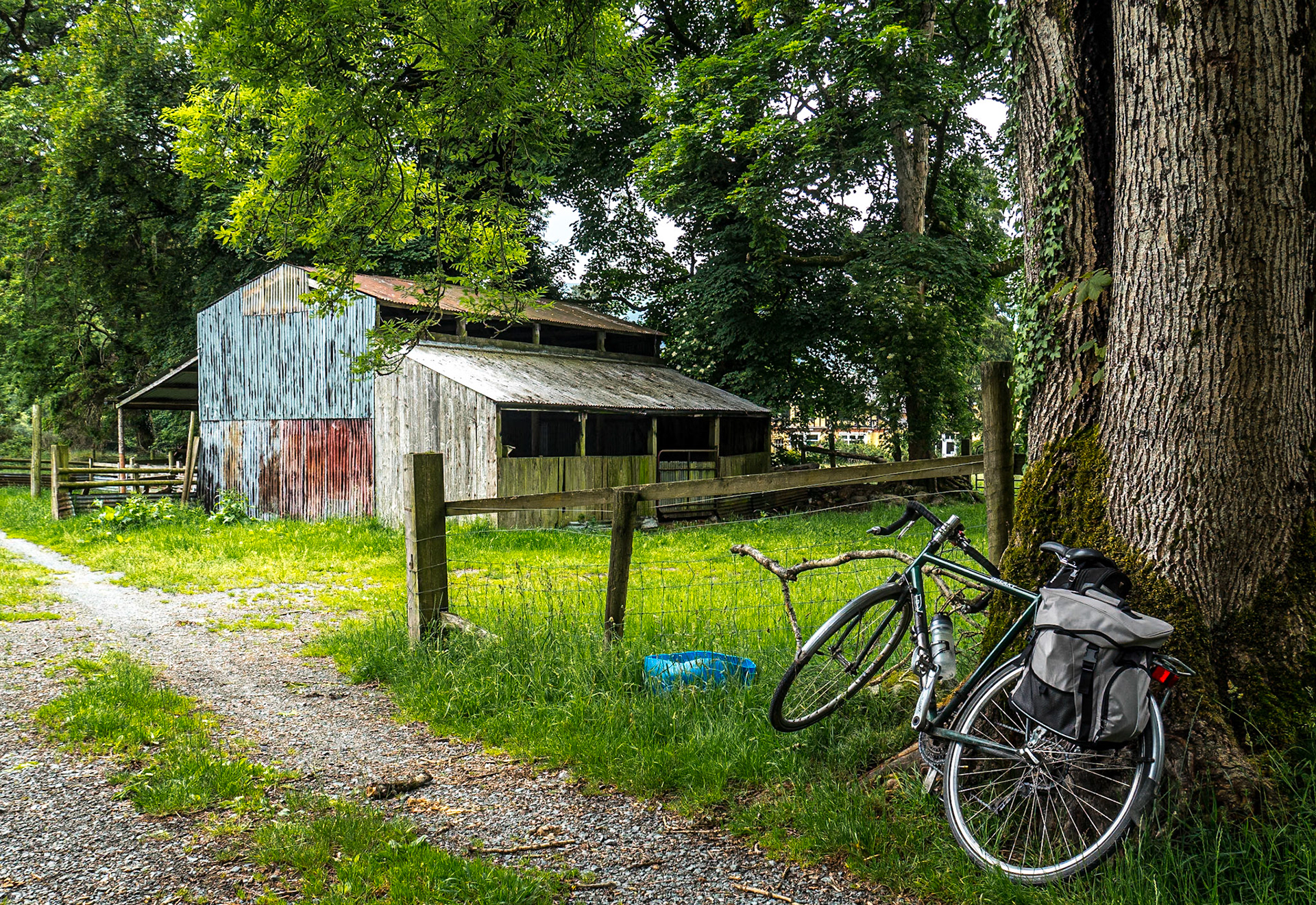 Glendalough, 18 Jun 2020