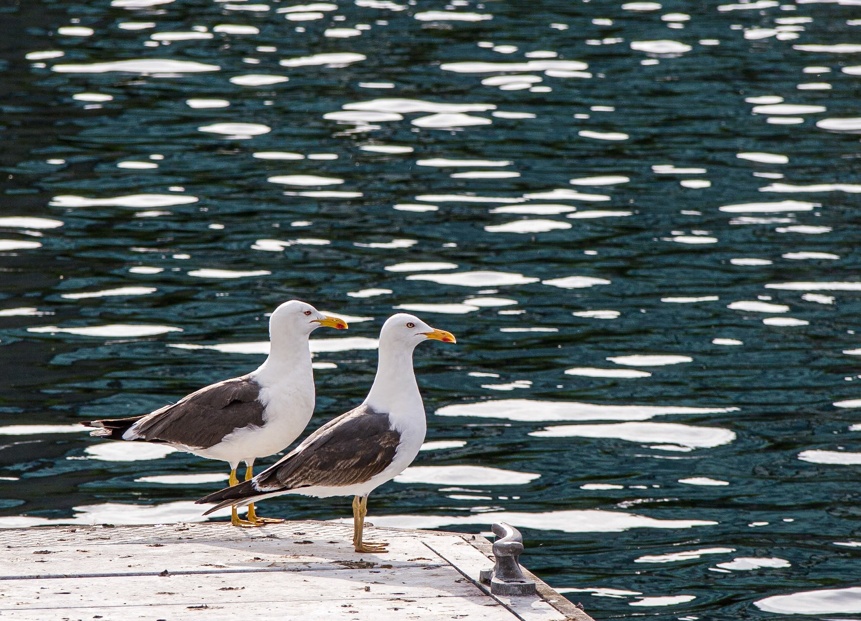 Grand Canal Quay, Dublin, 2 Jun 2013