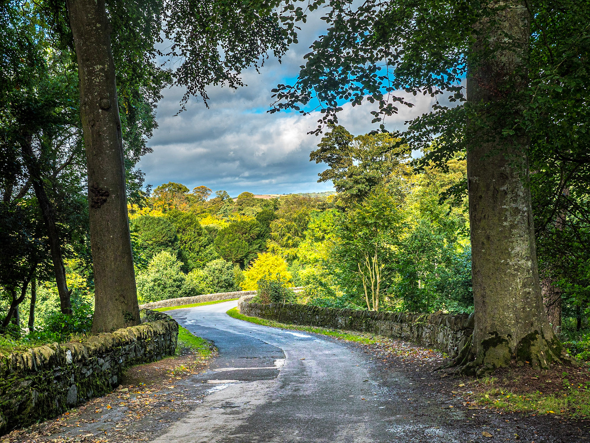 Grounds of Castle Ward, Co Down, 18 Sep 2018