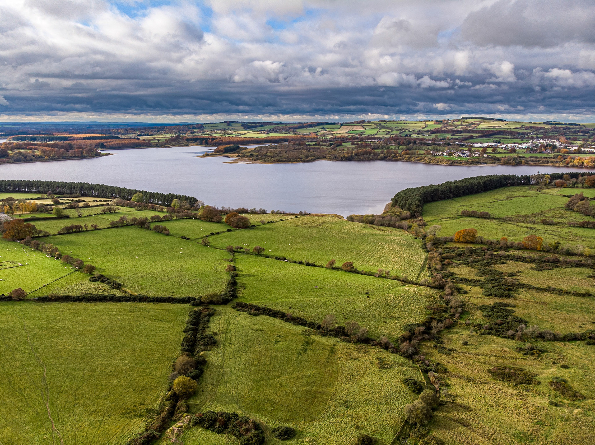 Near Lacken, Co Wicklow, 5 Nov 2019
