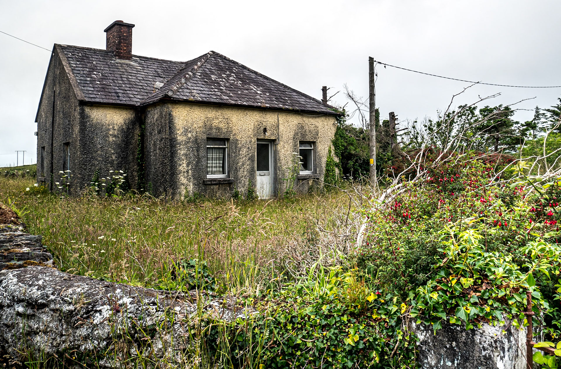 East of Cahersiveen, Co Kerry, 14 Jul 2021