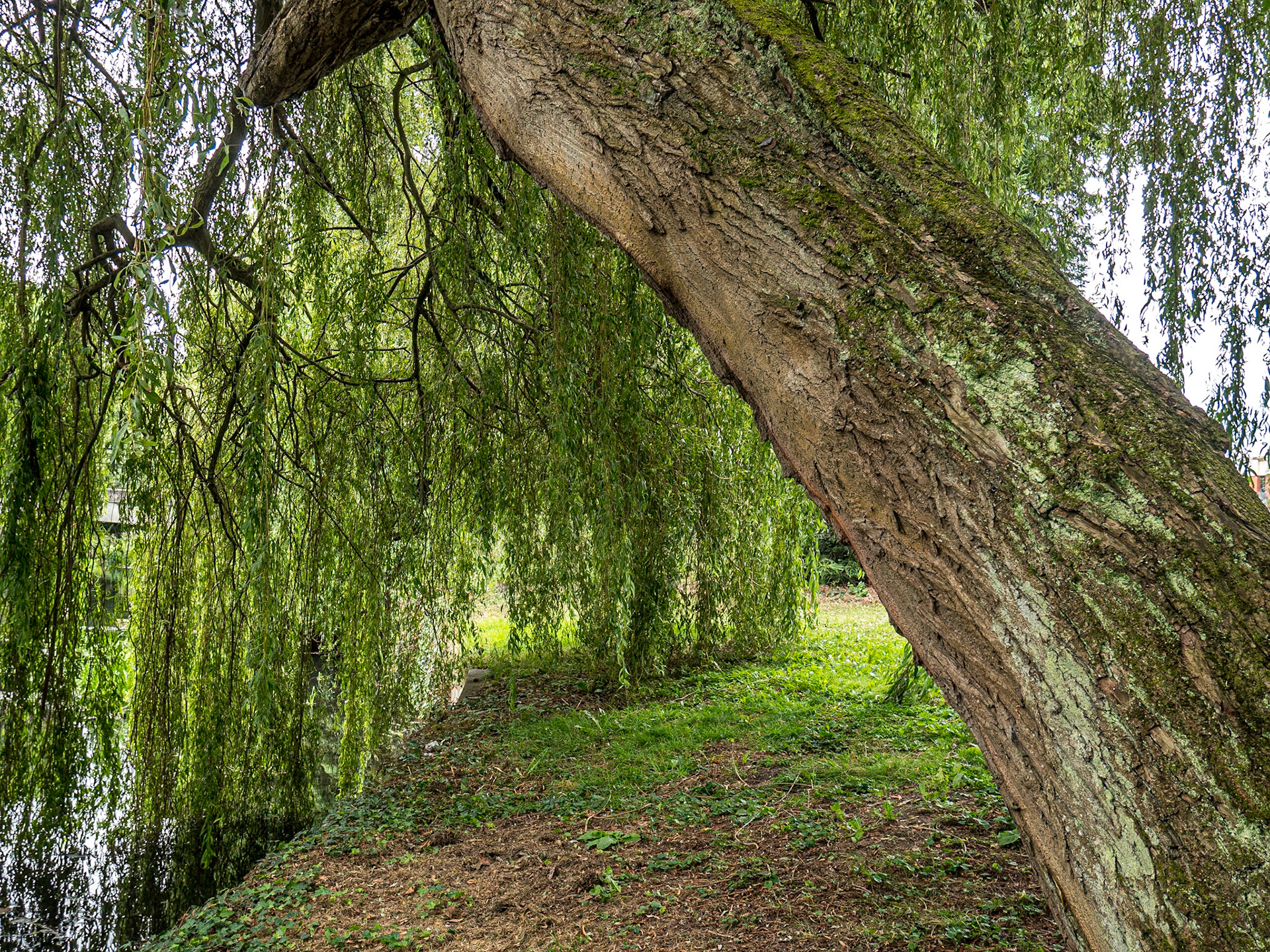 Botanic Gardens, Dublin, 29 Jul 2022