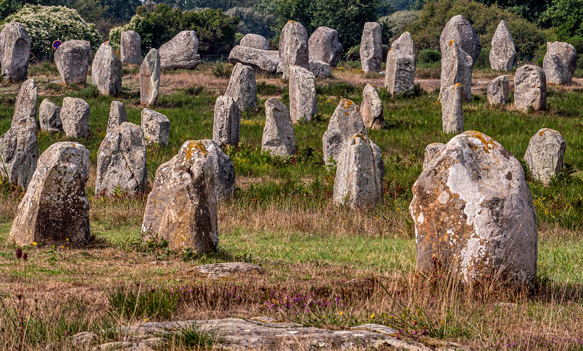 Alignments de Carnac, France, 13 Sep 2022