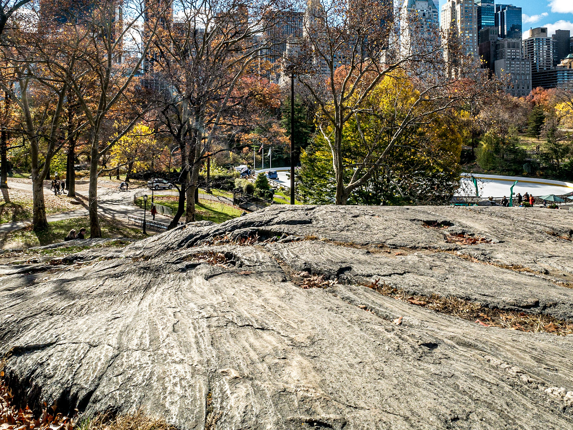 Central Park, Manhattan, 23 Nov 2015