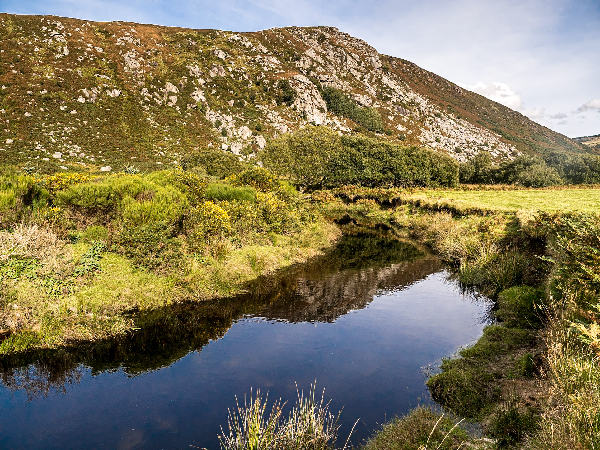Along Inchavore River, Co Wicklow, 30 Sep 2016
