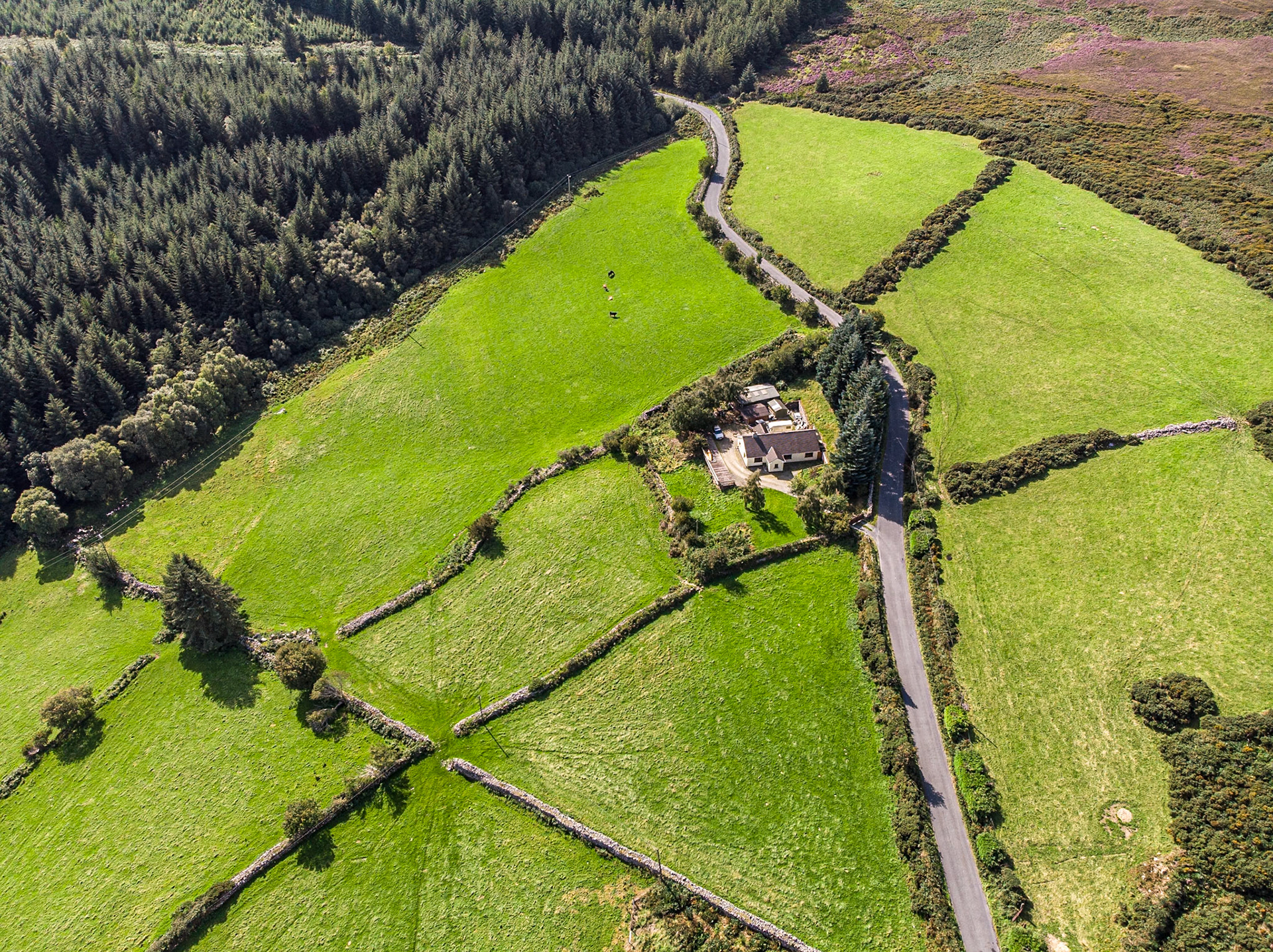 Between Laragh and Glenmalure, Co Wicklow, 26 Aug 2020