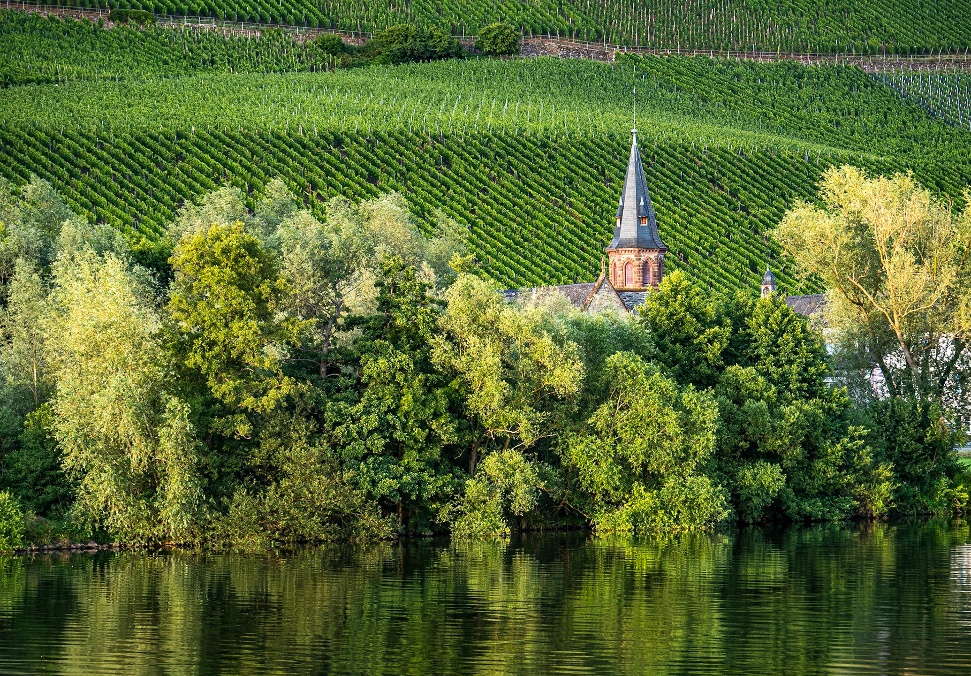 Views across the river from MoselCamping Bernkastel, Germany, 21 Jul 2025
