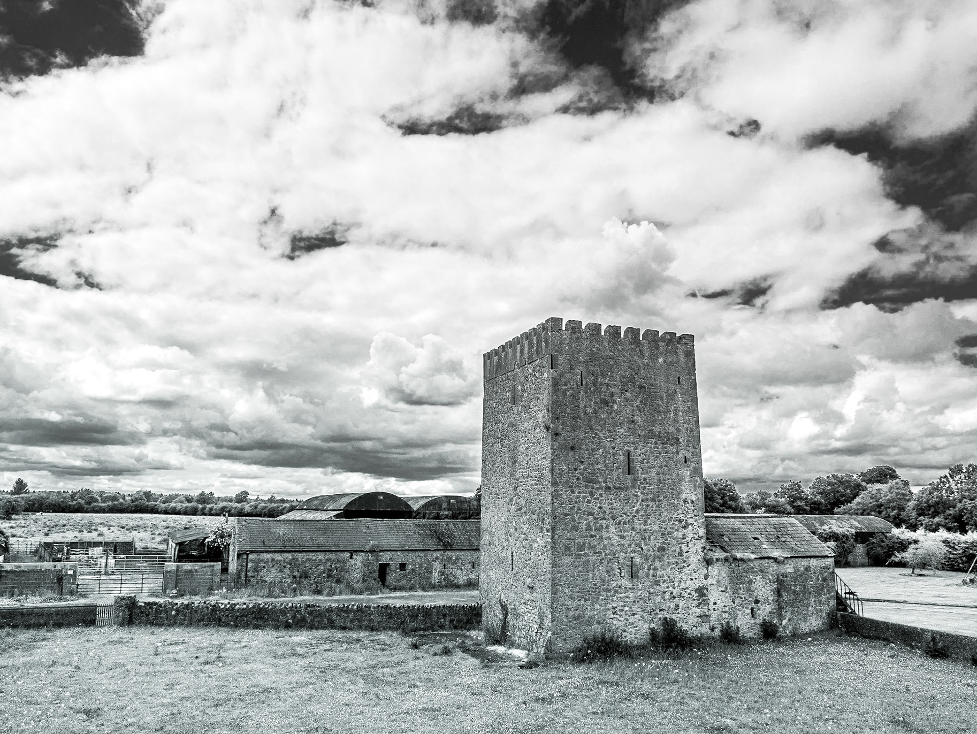 Ballyteague Castle, Co Kildare, 21 Jun 2015