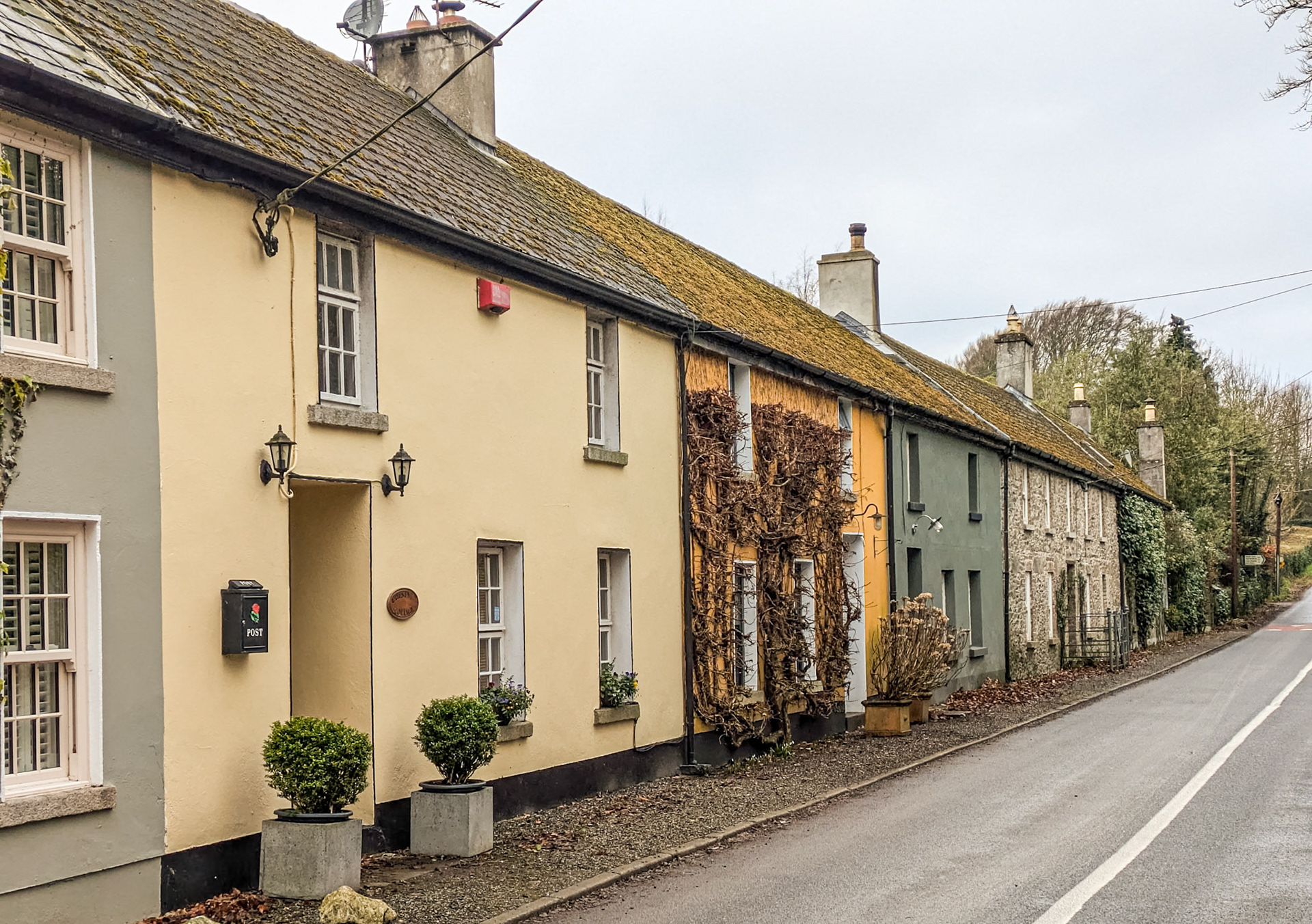 Rathmore, Co Kildare, 22 Jan 2025