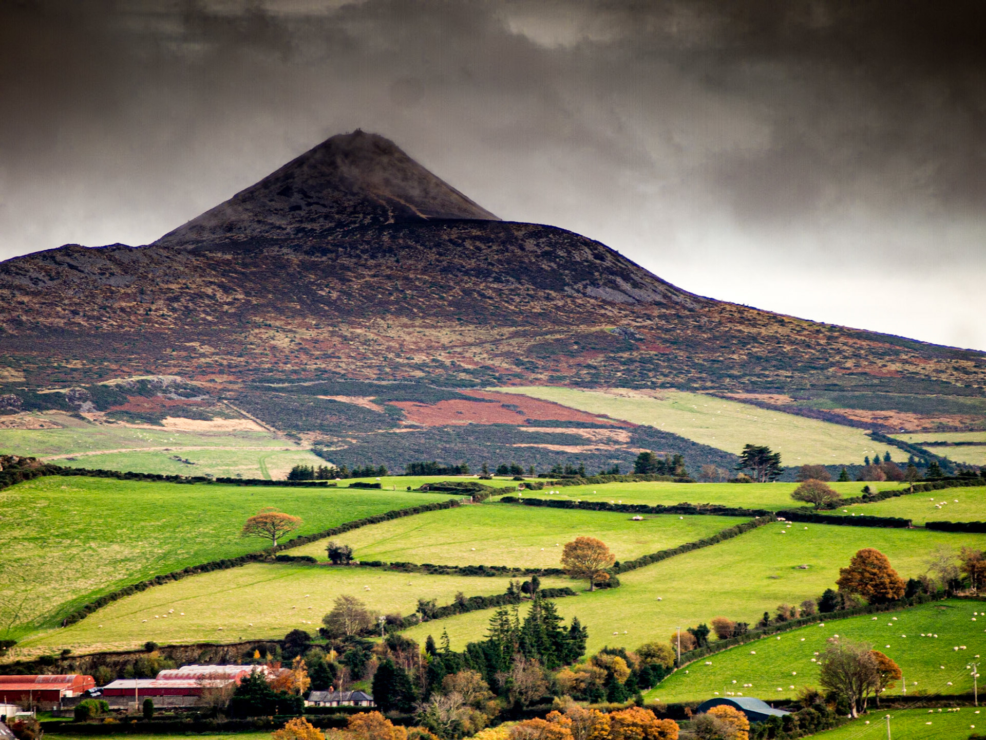 Sugarloaf from Knockree, 17 Nov 2013