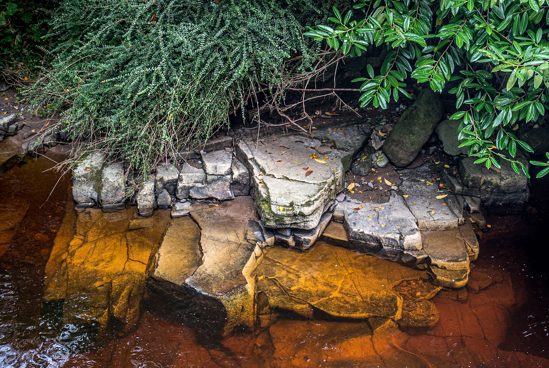 Silver River, Cadamstown, Co Offaly, 10 Sep 2020