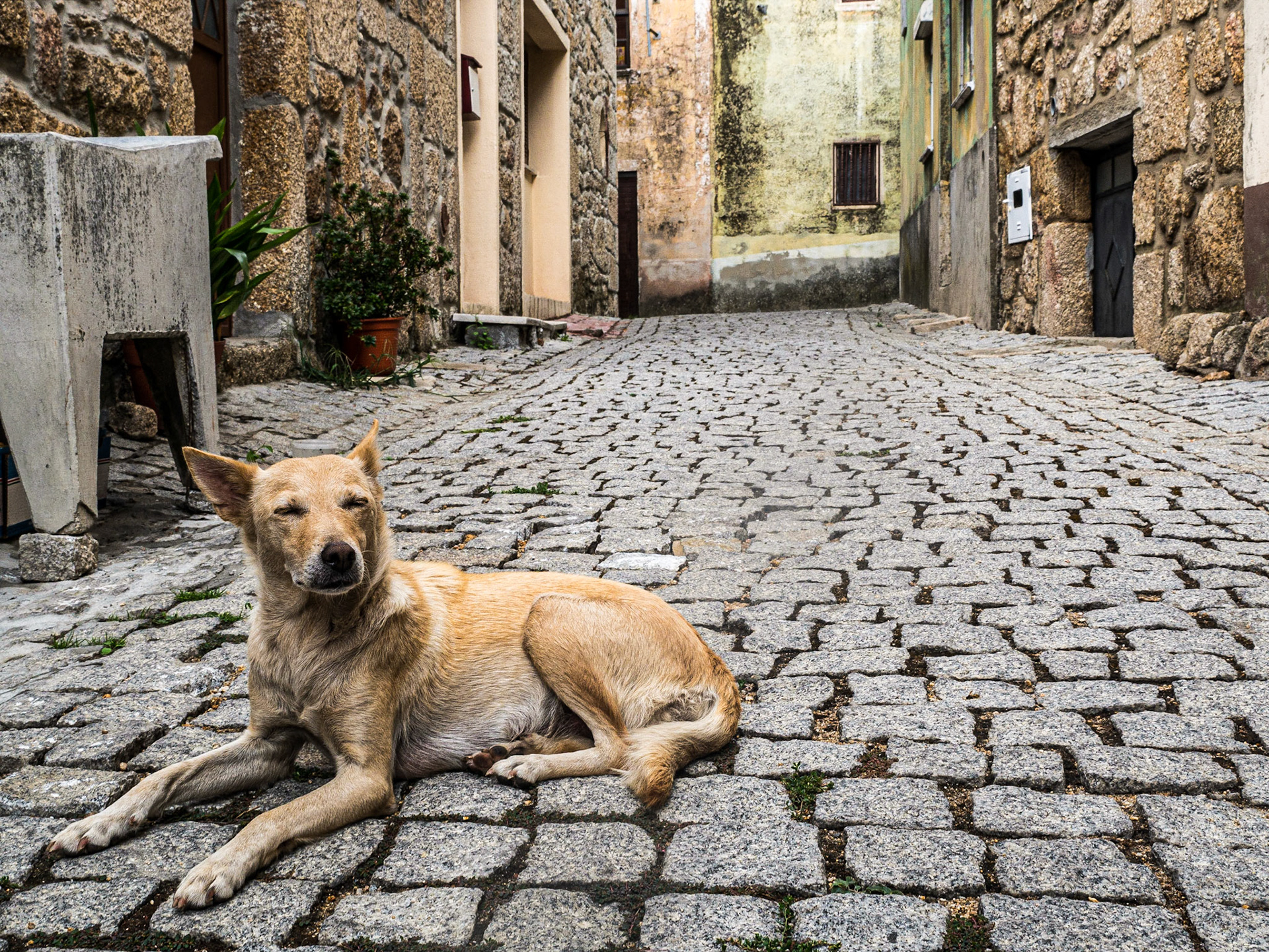 Belmonte, Portugal, 16 Sep 2015
