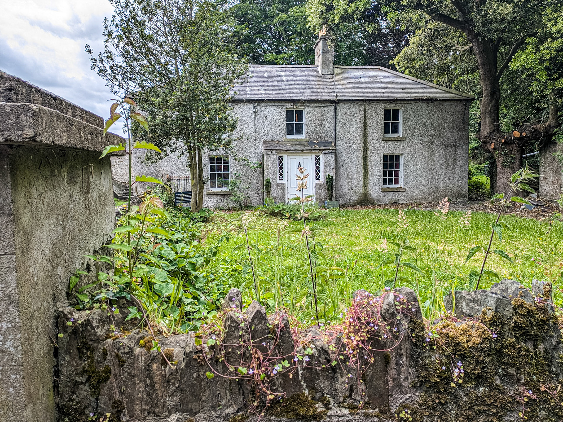 Cut Bush Road, Co Kildare, 4 Jun 2025