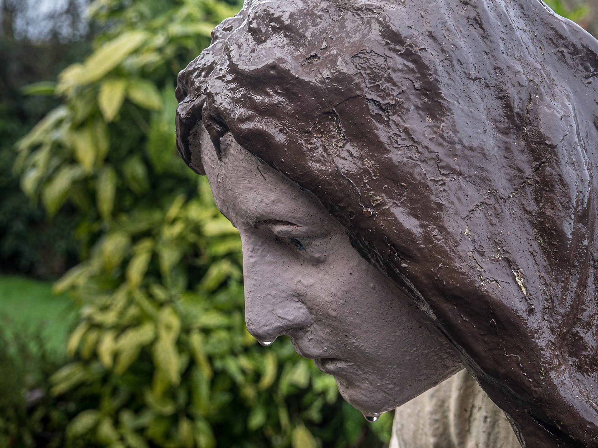St Beirechert's Holy Well, Tullylease, Co Cork, 18 Dec 2022