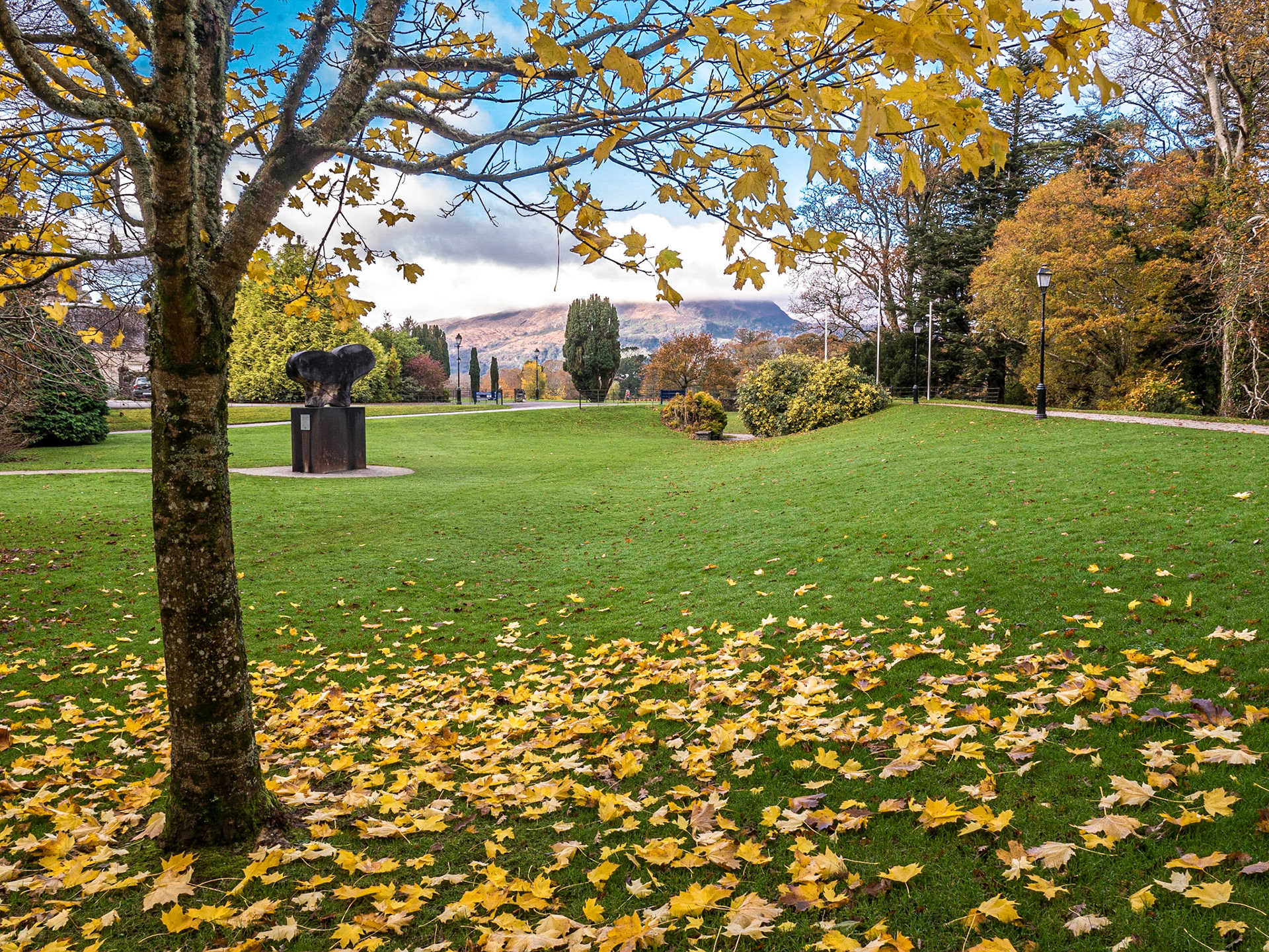 Muckross estate, Killarney, 21 Nov 2016