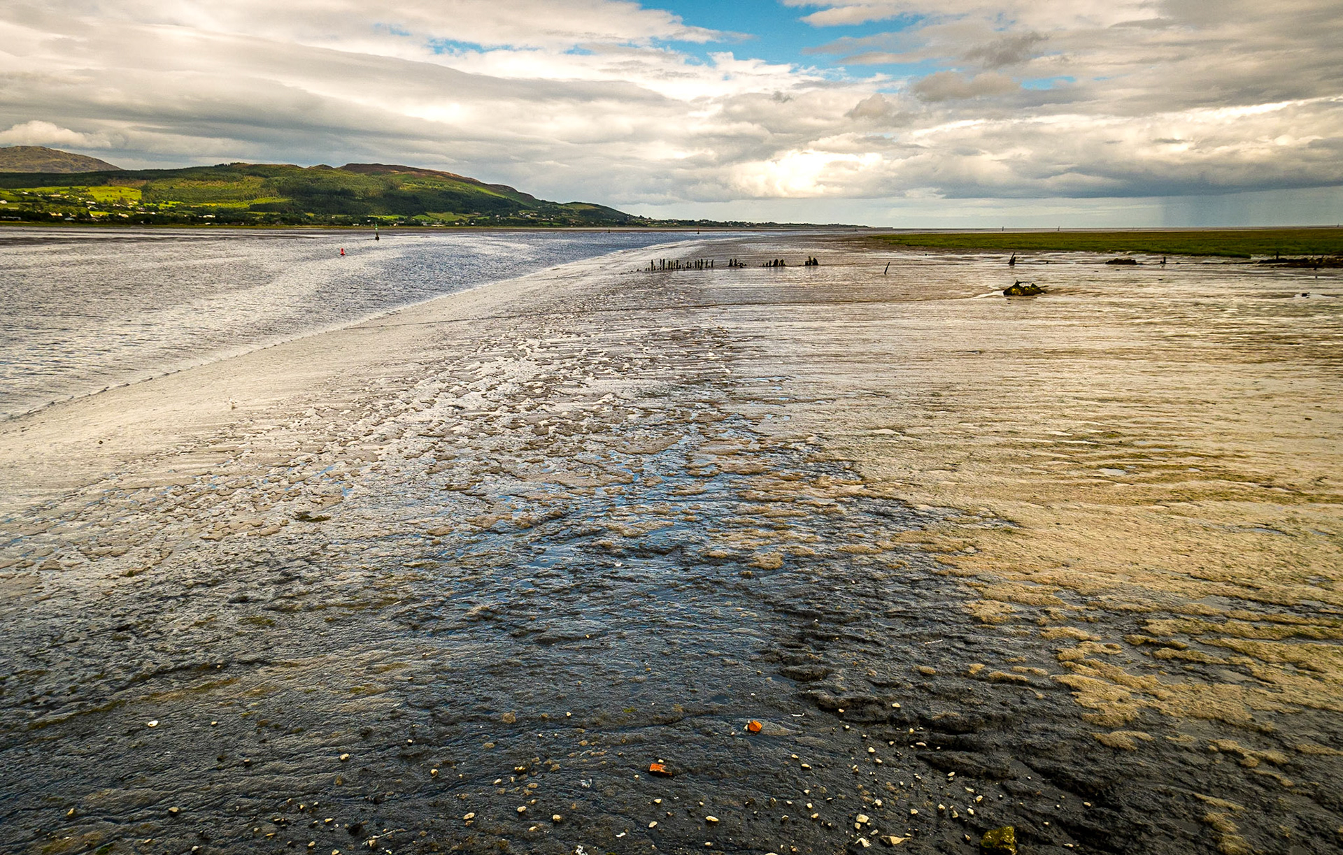 Dundalk Harbour, Co Louth, 3 Aug 2017