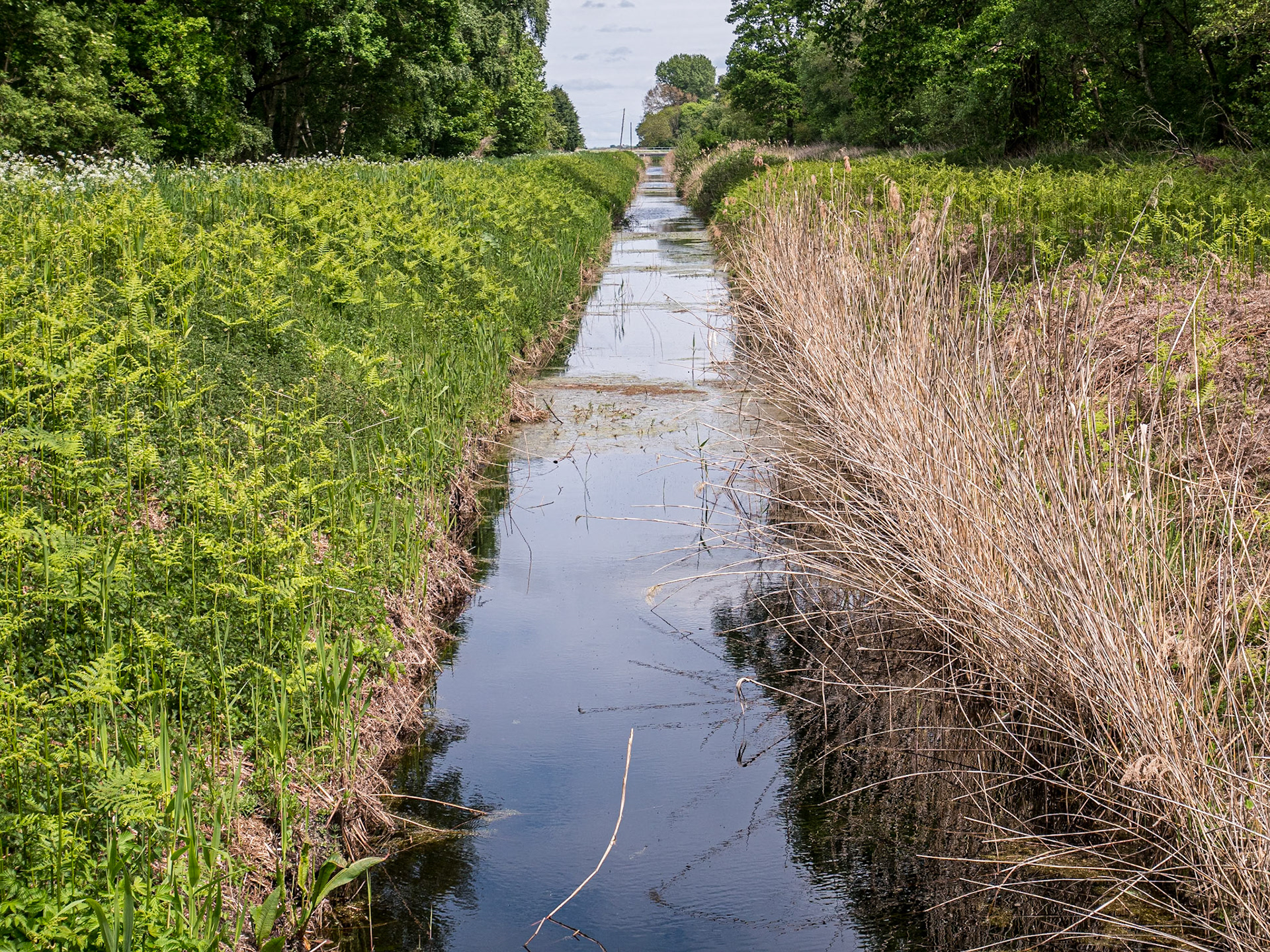 At Holme Fen, England, 7 May 2025