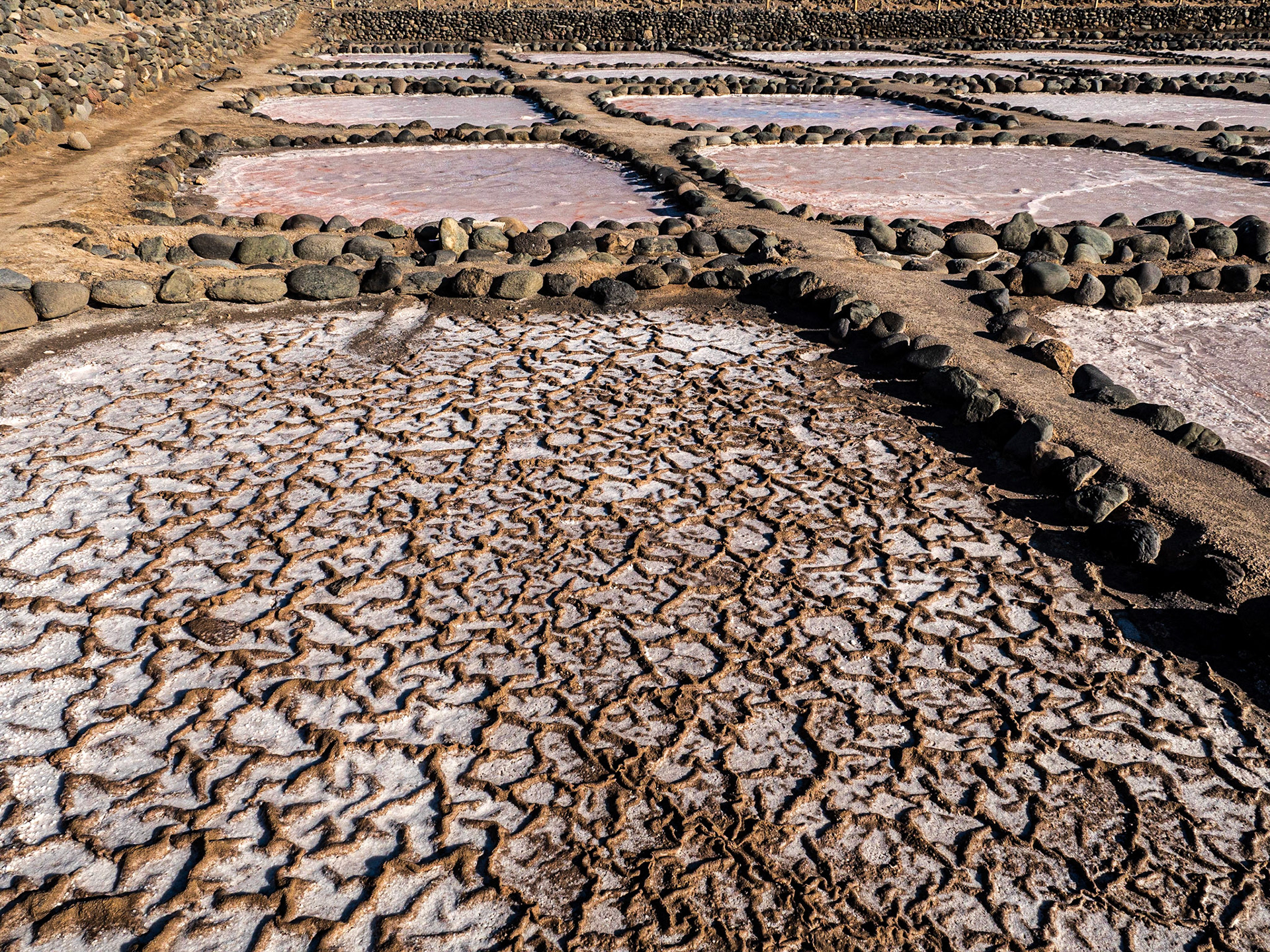 Salinas De Tenefé, Gran Canaria, 26 Jan 2020