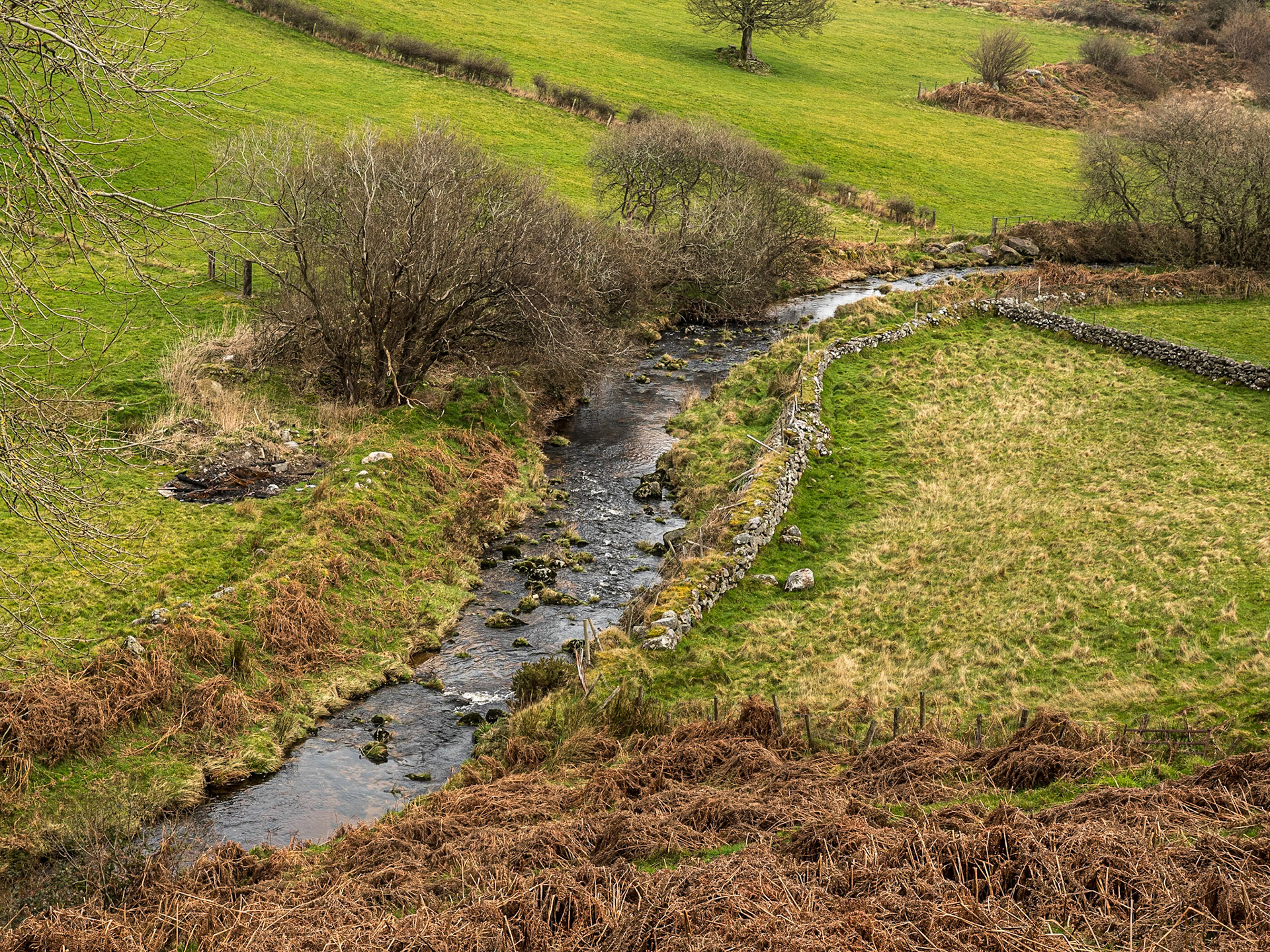 Boranaraltry walk, 16 Mar 2022