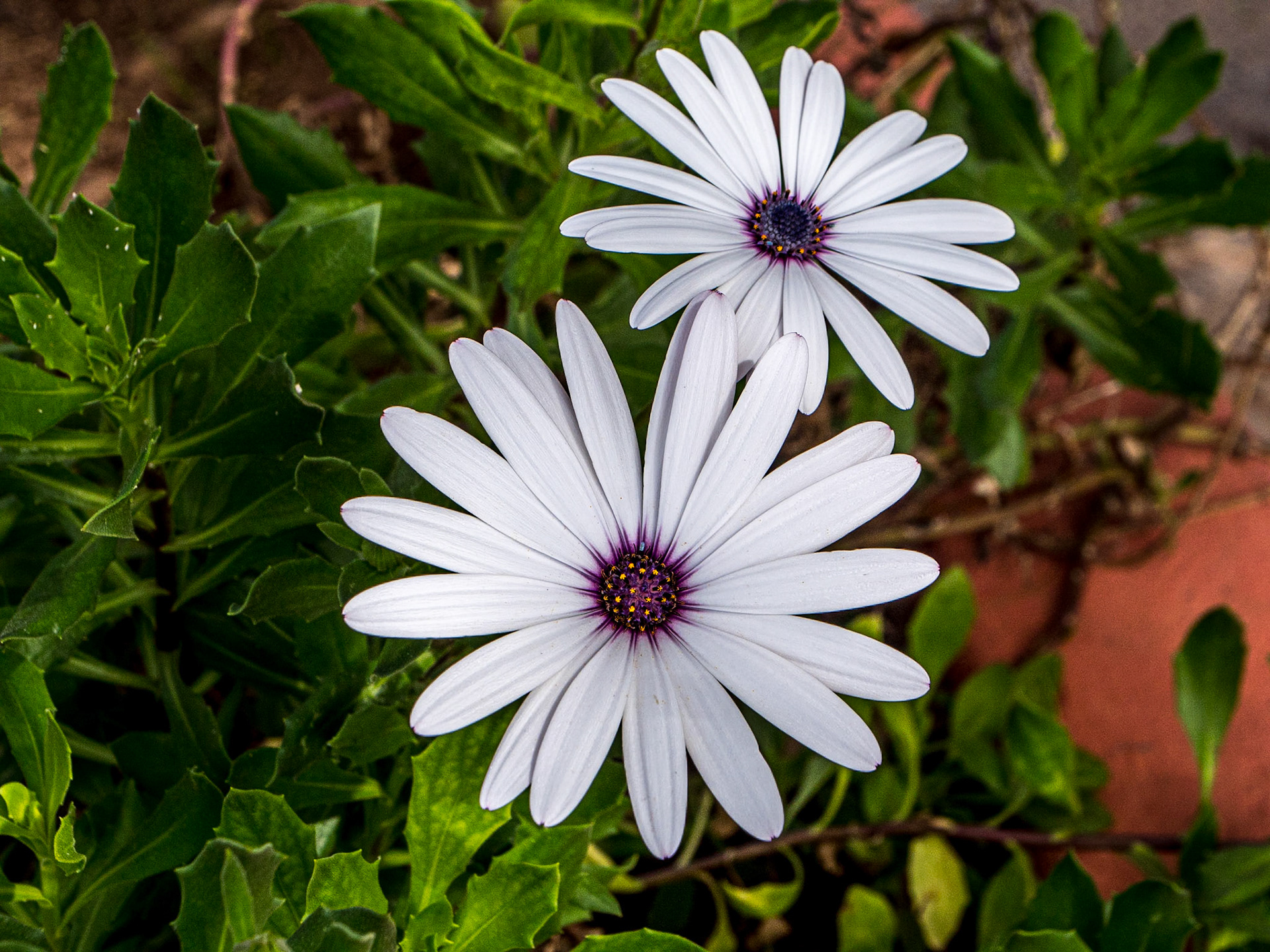 By Playa de San Juan, Playa San Juan, Tenerife, 26 Feb 2023