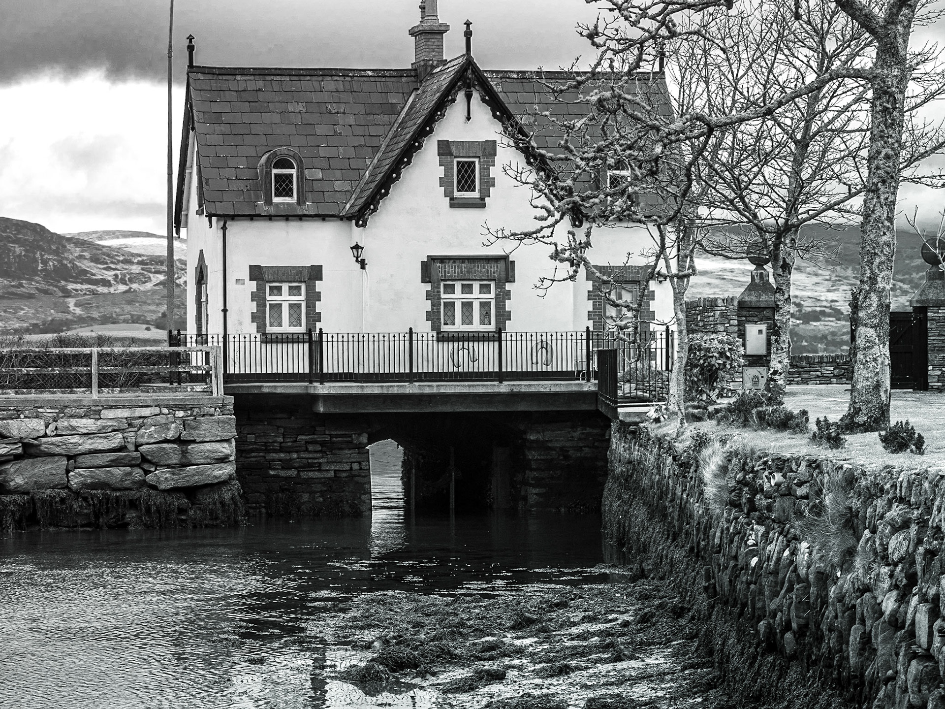 The Pond, Bantry, Co Cork, 28 Feb 2019