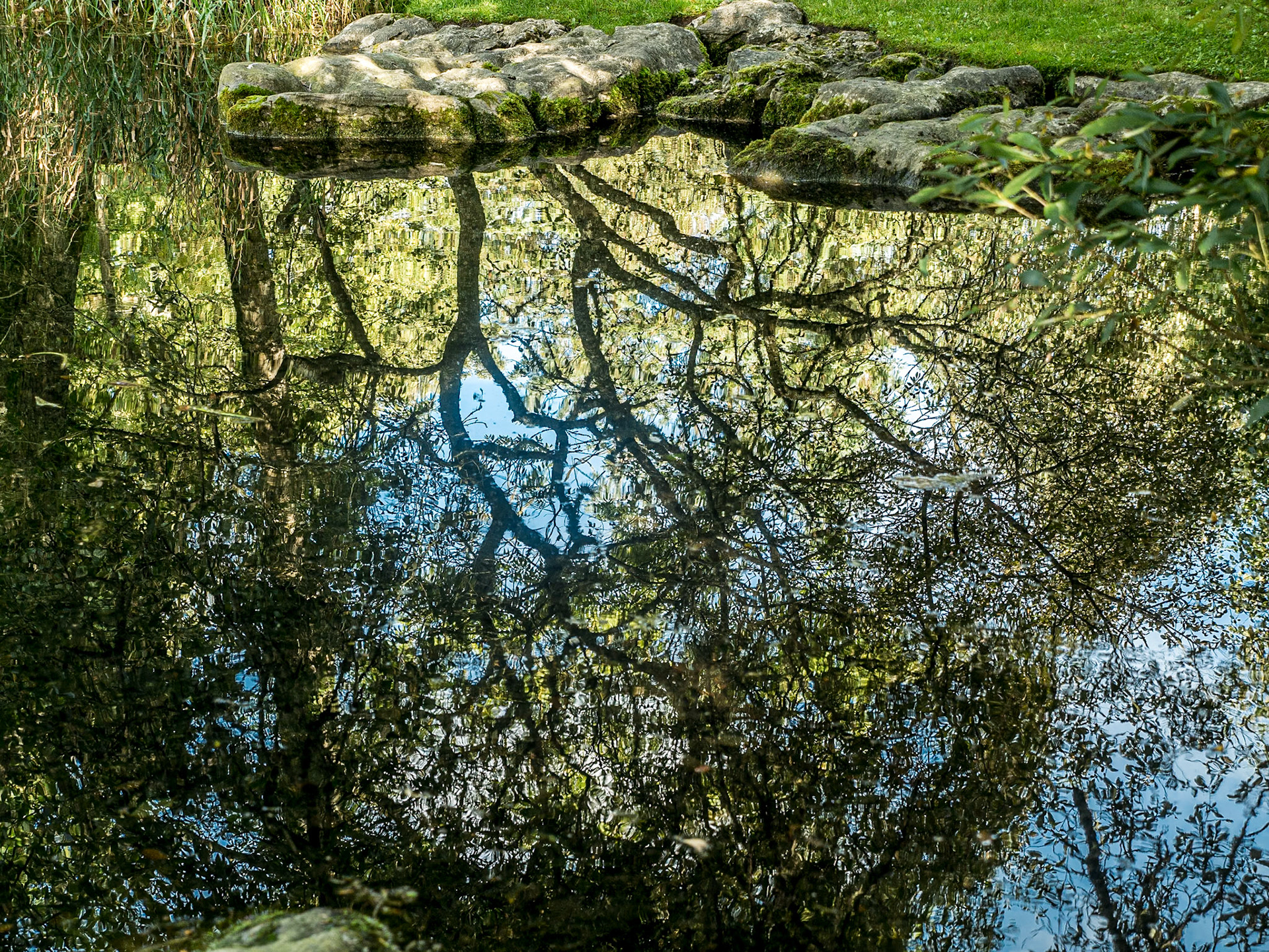 National Stud Gardens, Kildare, 20 Sep 2016
