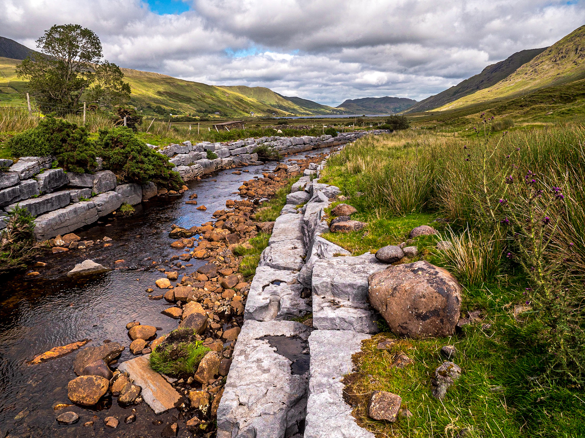 Near Lough Na Fooey, Co Galway, 28 Jul 2020