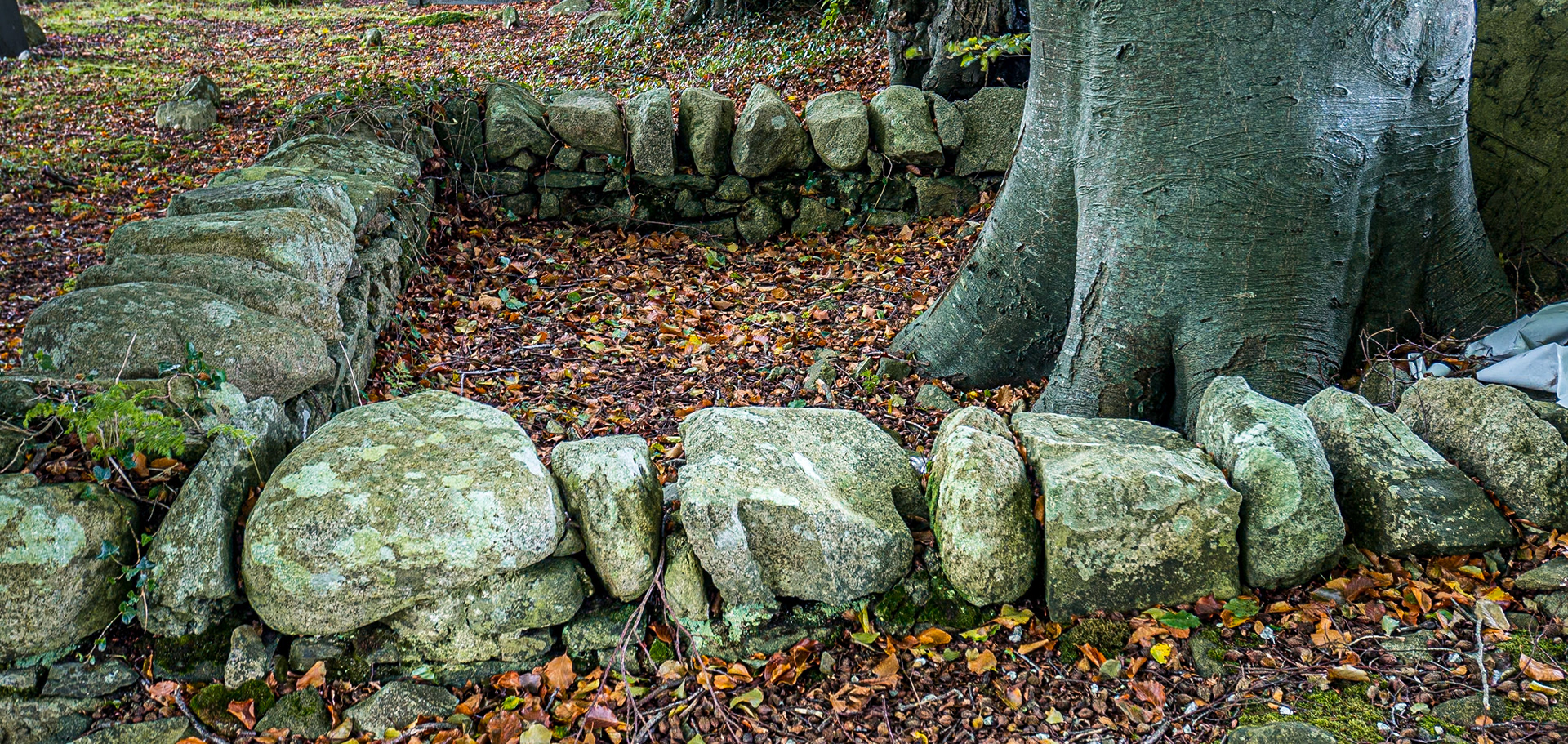 Killevy (Killeavy) Old Churches, Co Armagh, 28 Sep 2017