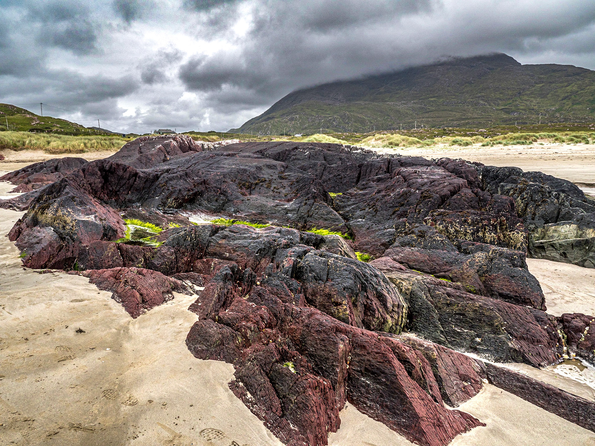 Glassilaun Beach, Co Galway, 27 Jul 2020
