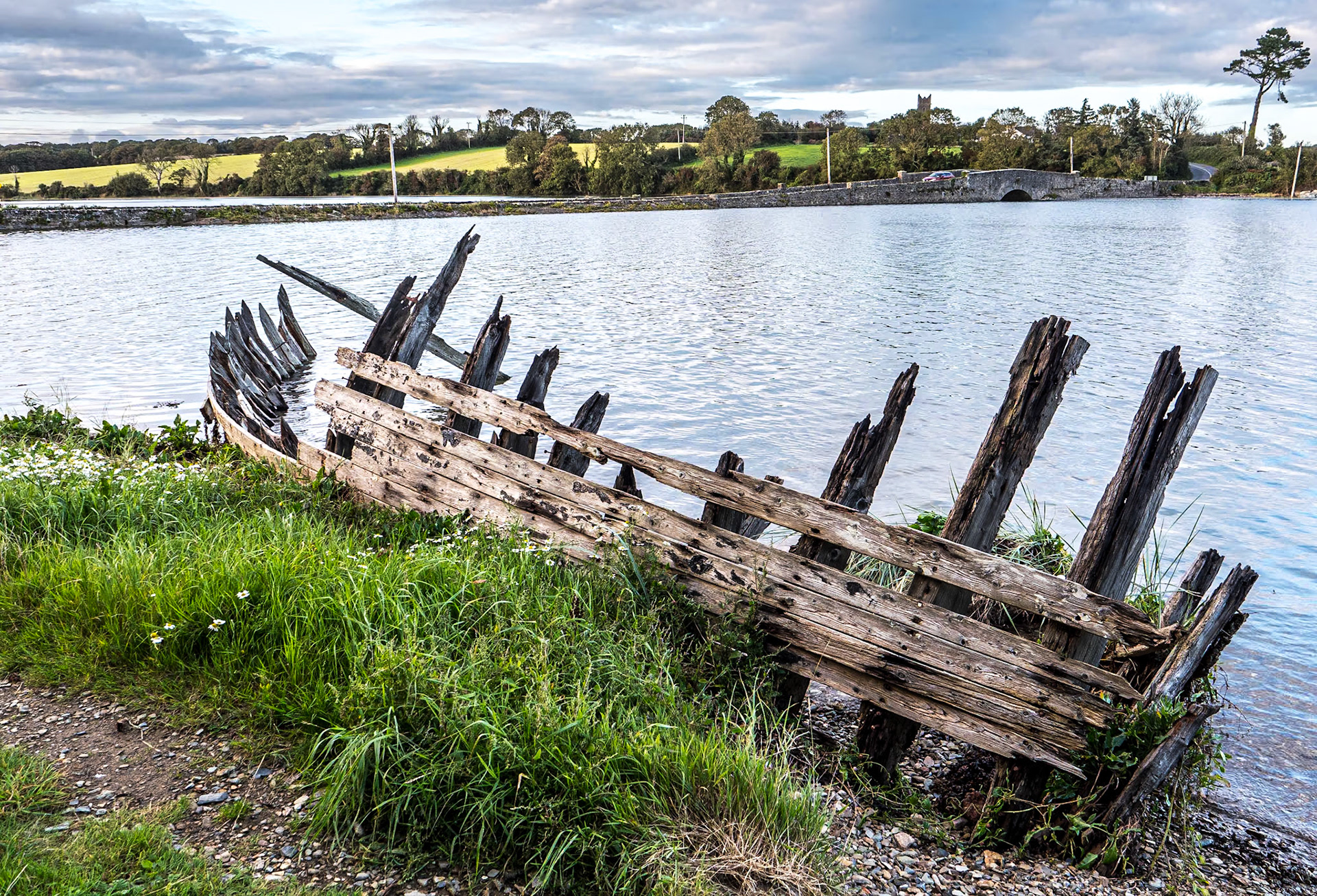 Saltmills, Co Wexford, 1 Sep 2023