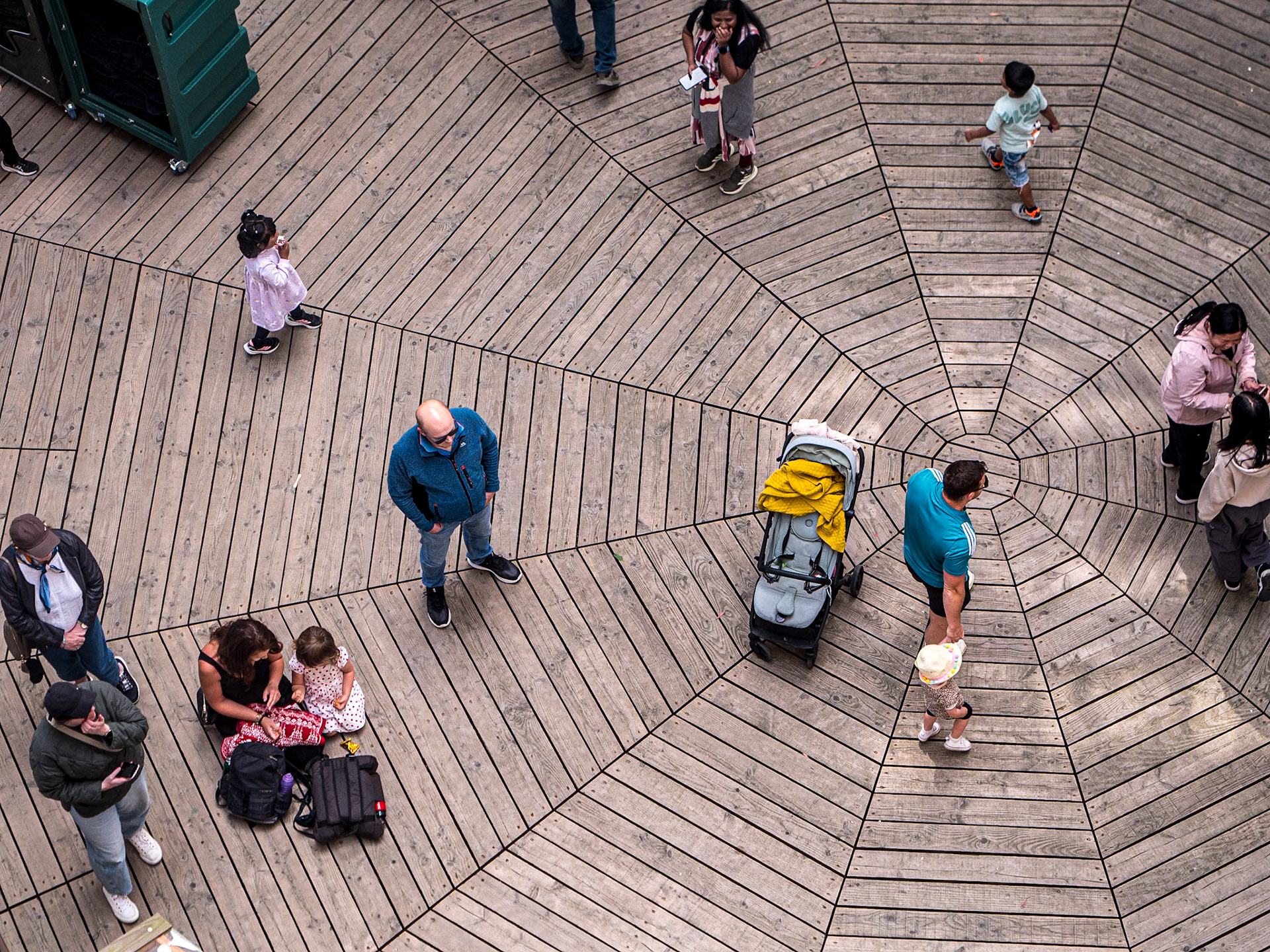 Avondale Forest Park, Co Wicklow, 2 Jun 2025