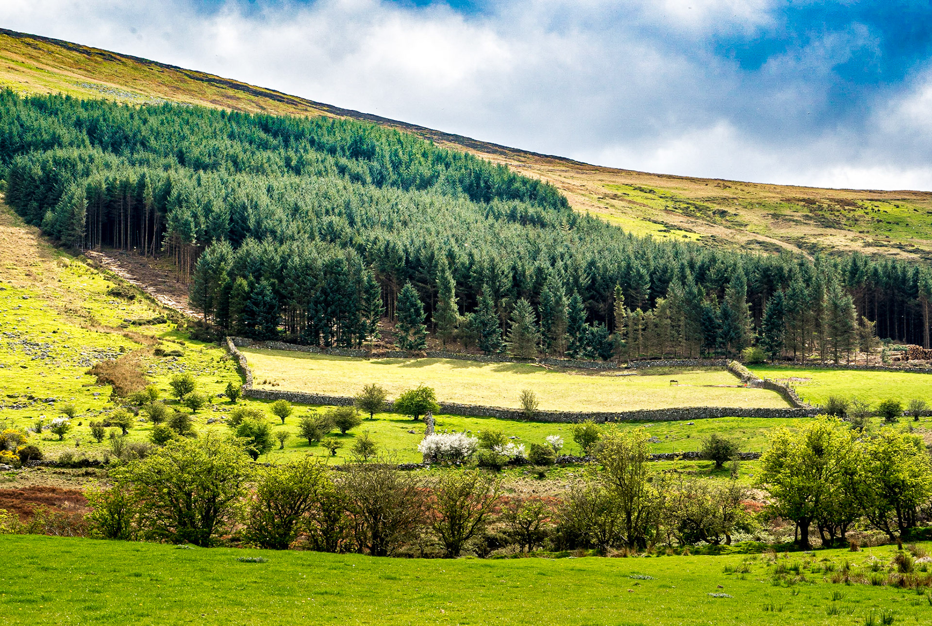 Ballyknockan, Co Wicklow, 18 Apr 2017
