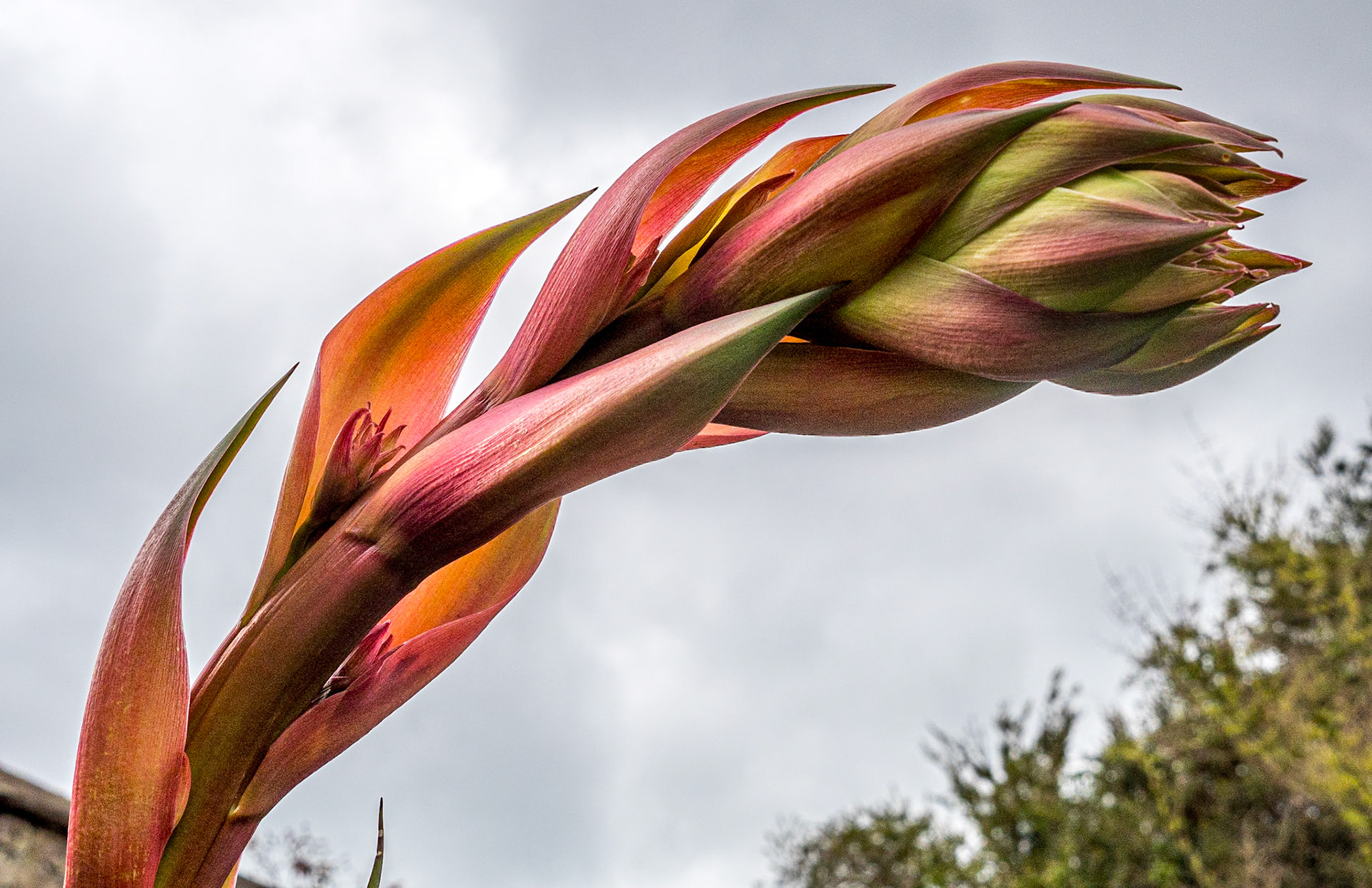 Botanic Gardens, Dublin, 13 Apr 2021